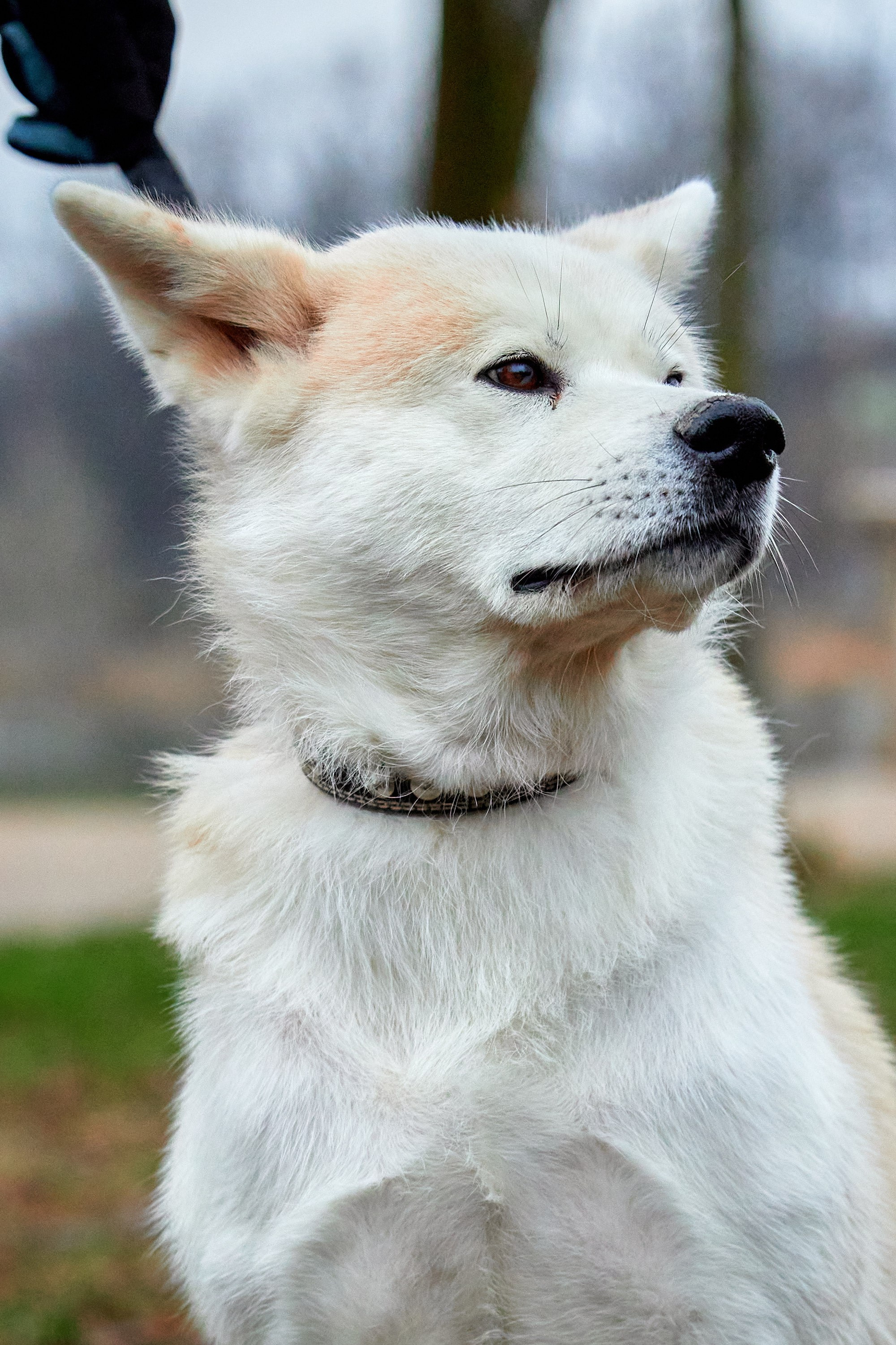 S95 Кусково. Спортивный и репортажный фотограф Андрей Баскаков
