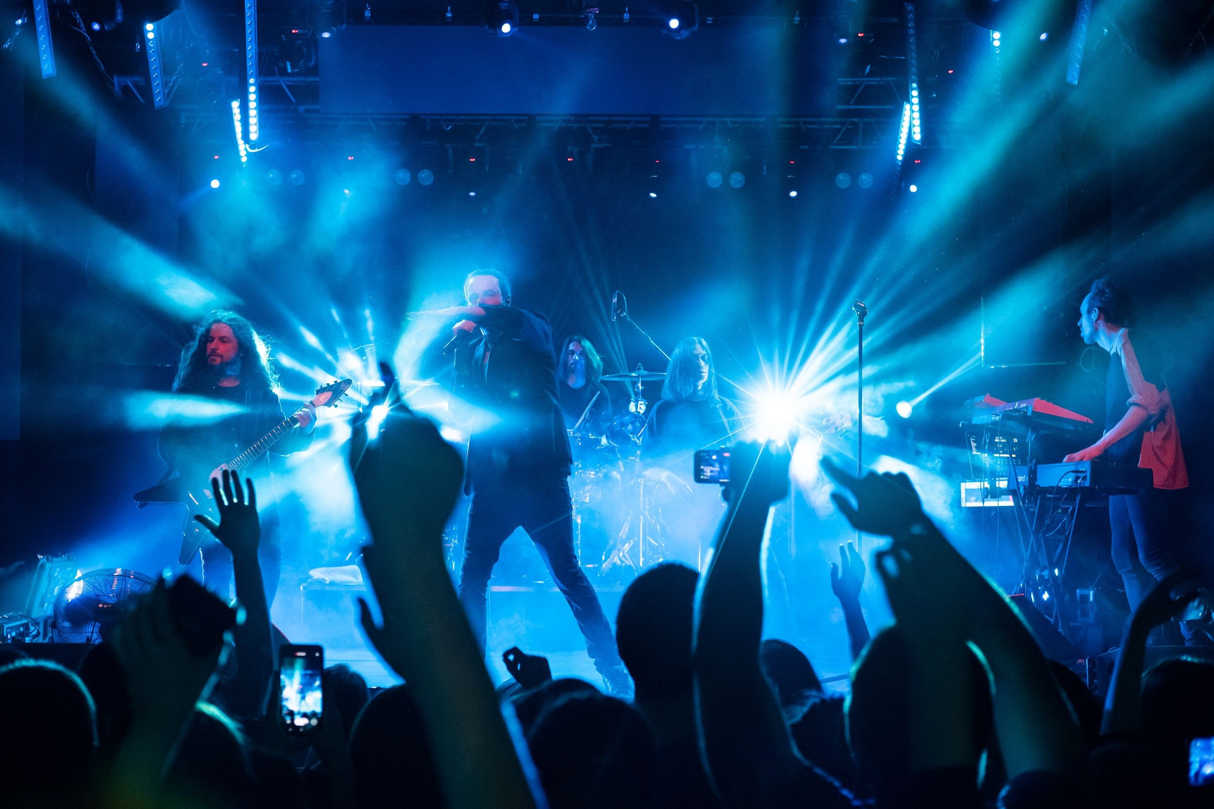 Animal ДжаZ. Репортажный фотограф Алексей Пирязев