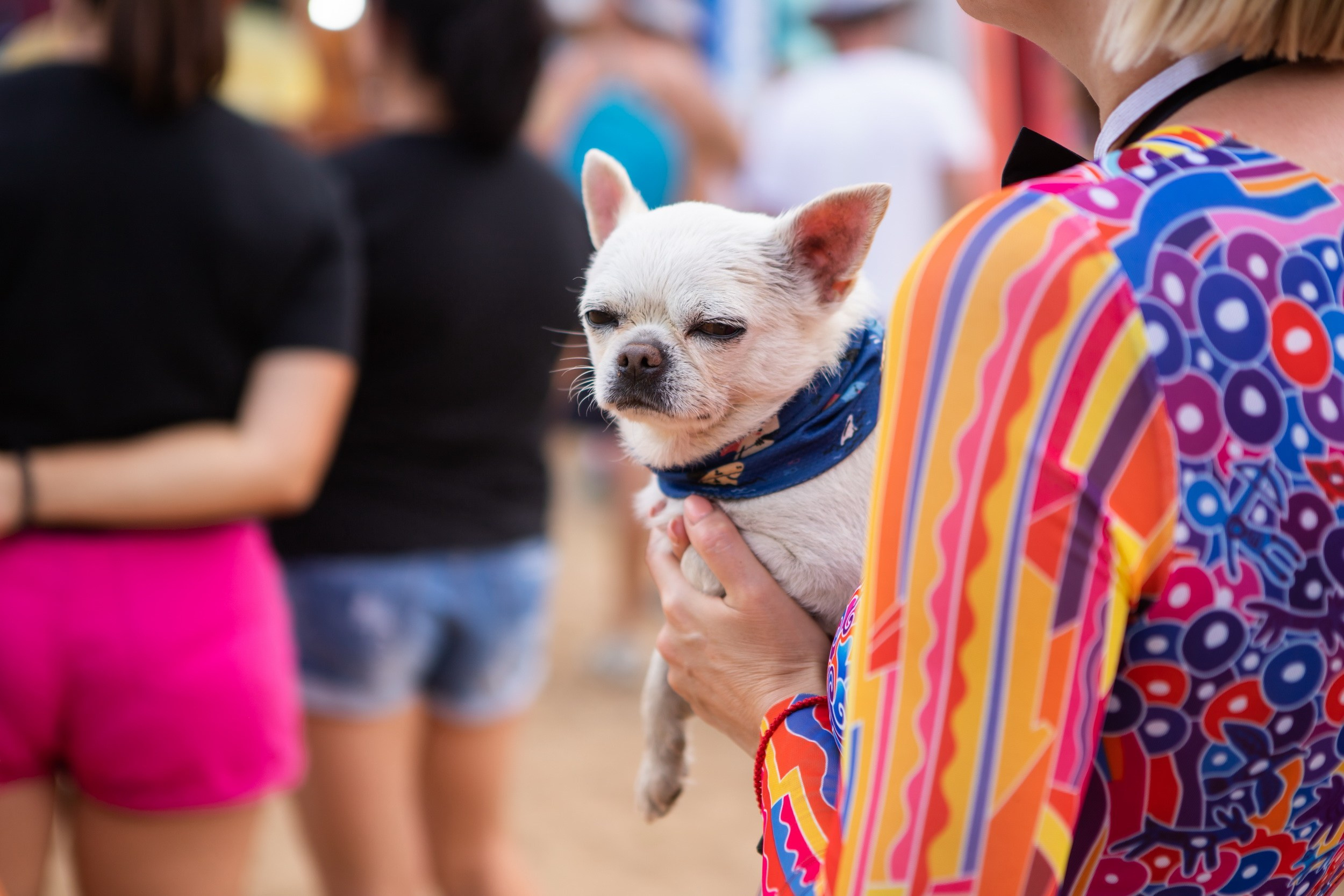 Vashana Sup Camp (26-28 июля 2024). Репортажный фотограф Алексей Пирязев