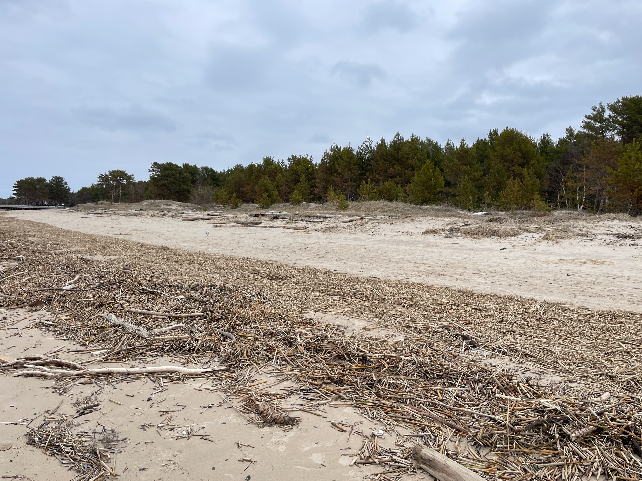 Архангельск | 08.05 — 11.05.2025. Галерея Фантим