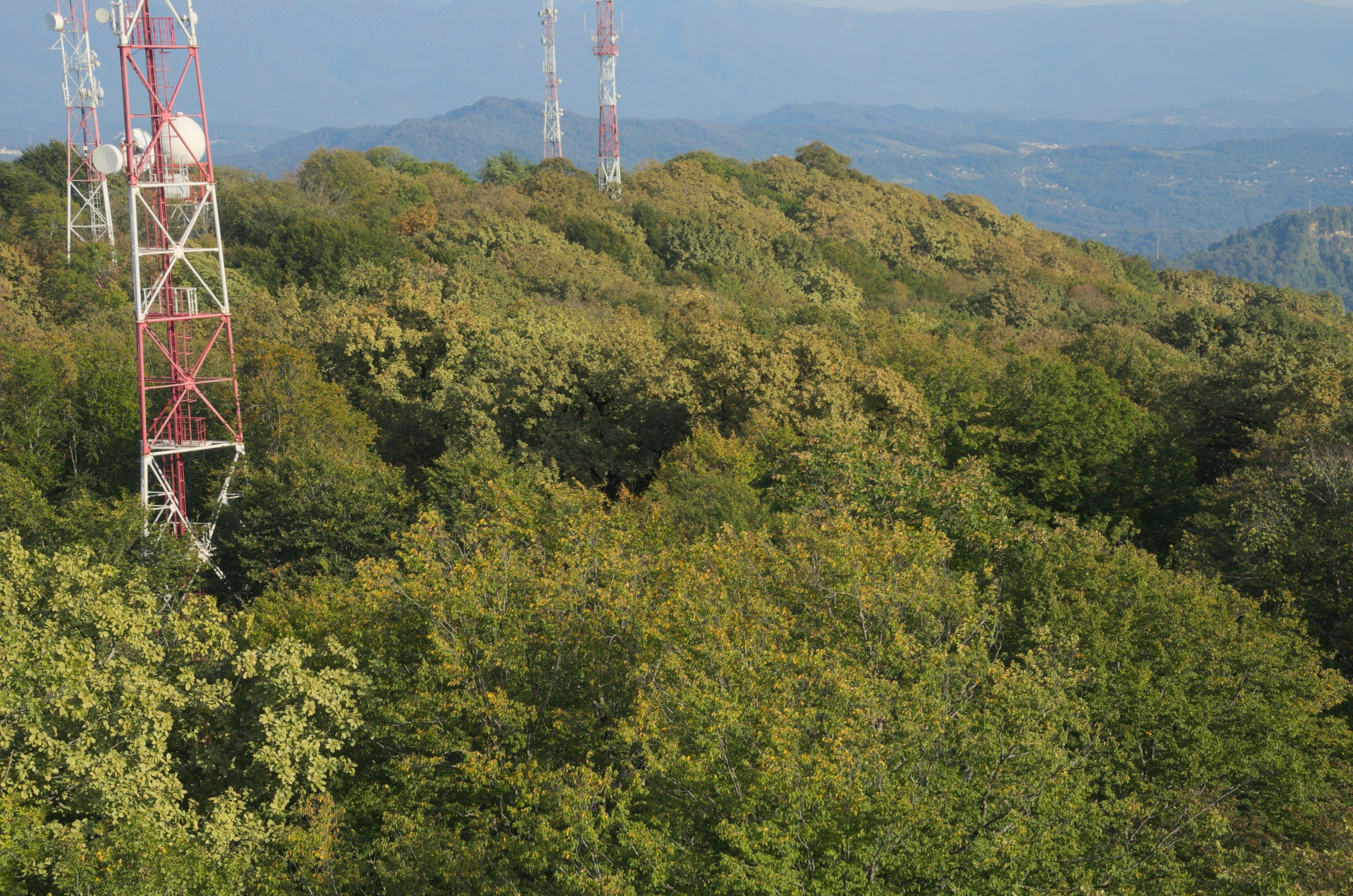 Сочи | 05-06.10.2019. Галерея Фантим