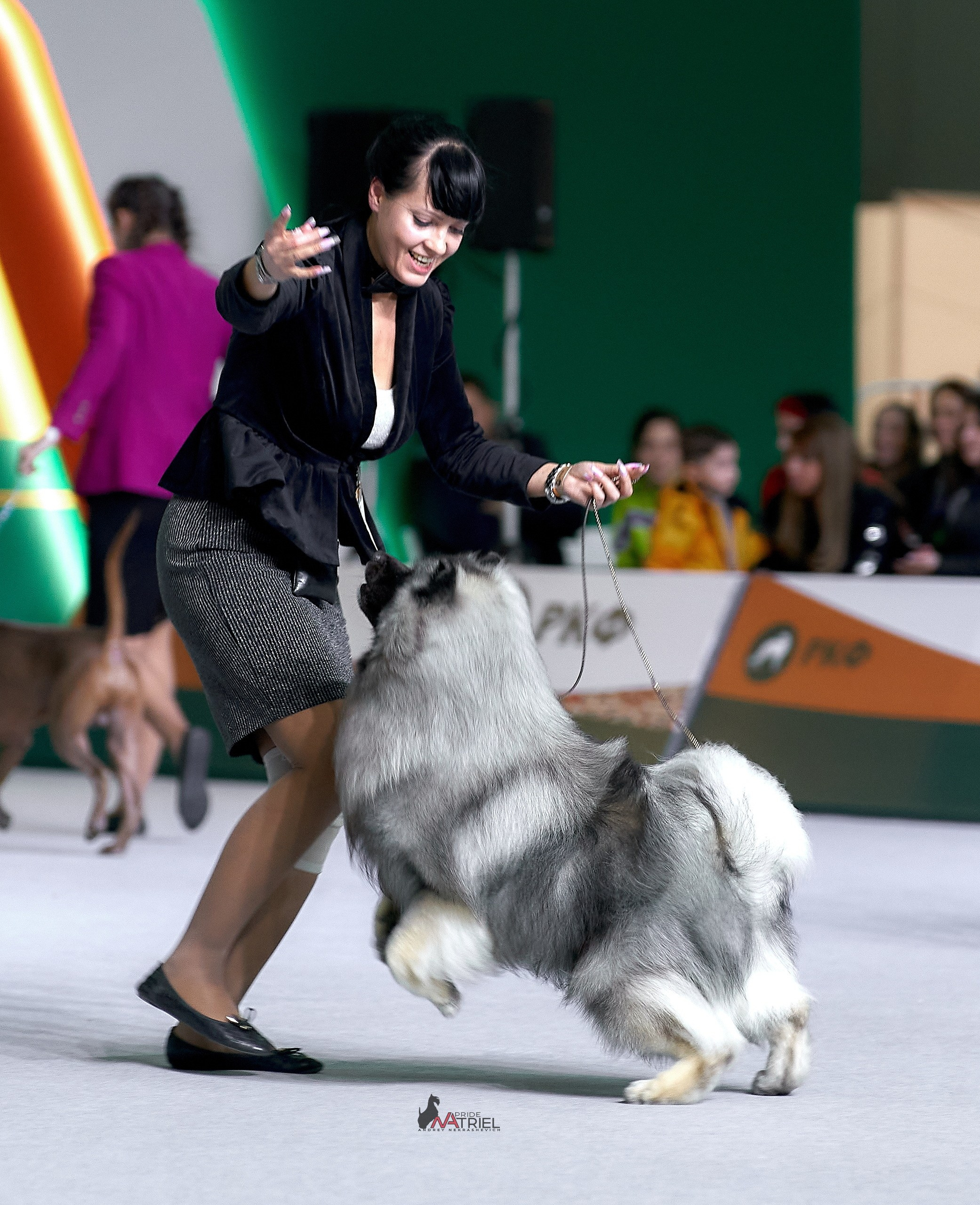 Призовые места — галерея NATRIEL