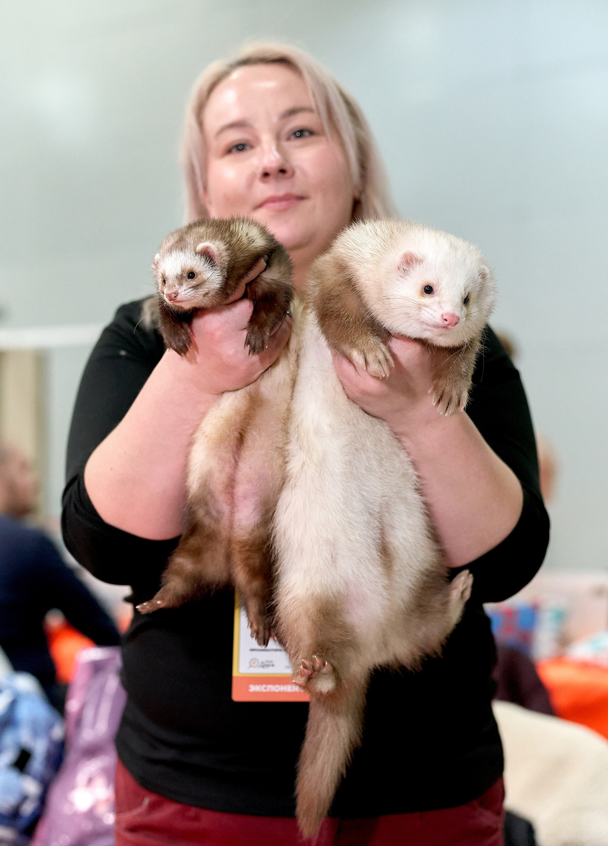 Выставки животных — галерея NATRIEL