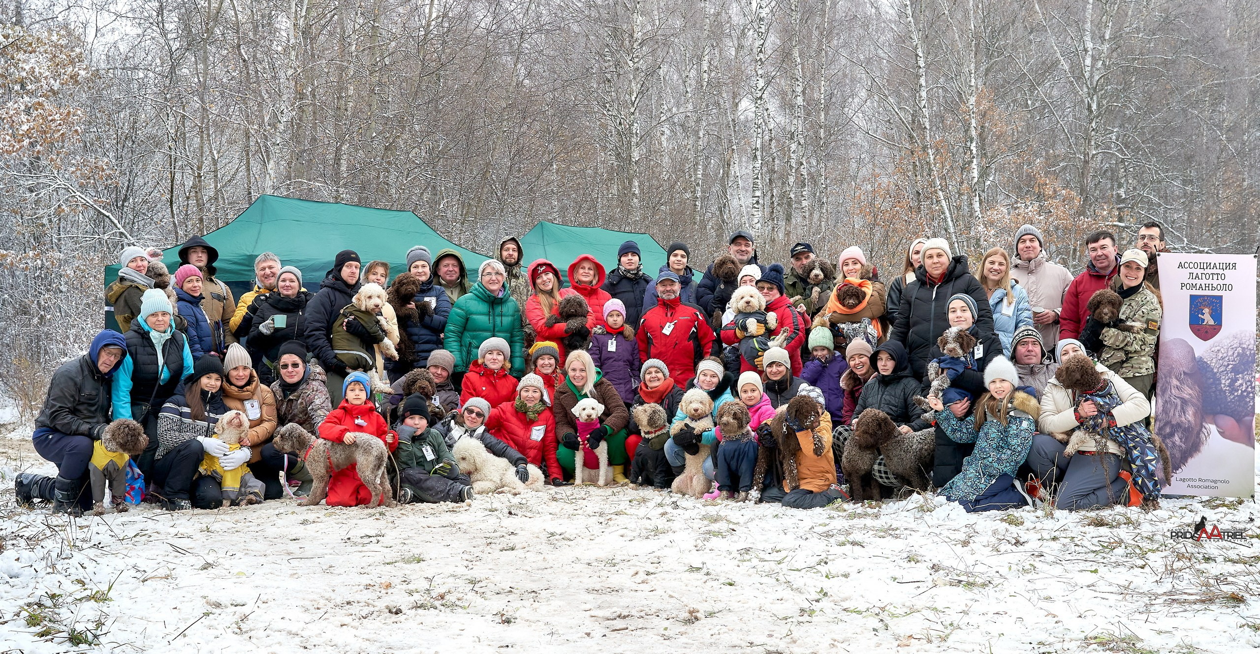Мероприятия с собаками — галерея NATRIEL