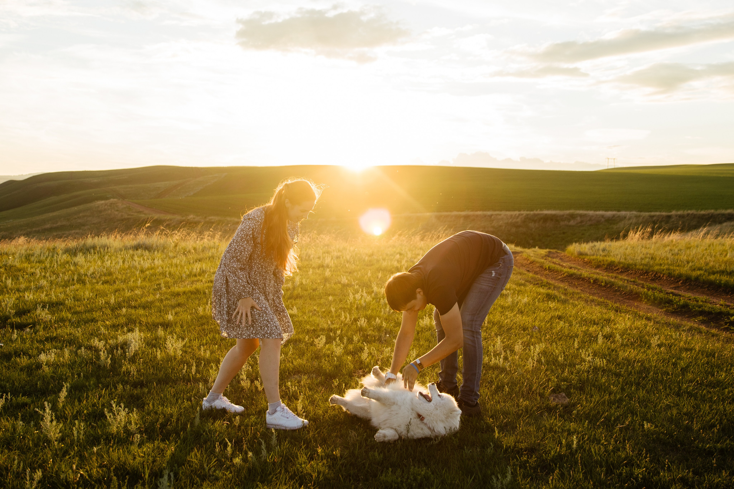 Пушистое облачко. Свадебный и семейный фотограф в Красноярске Сиско Ксения