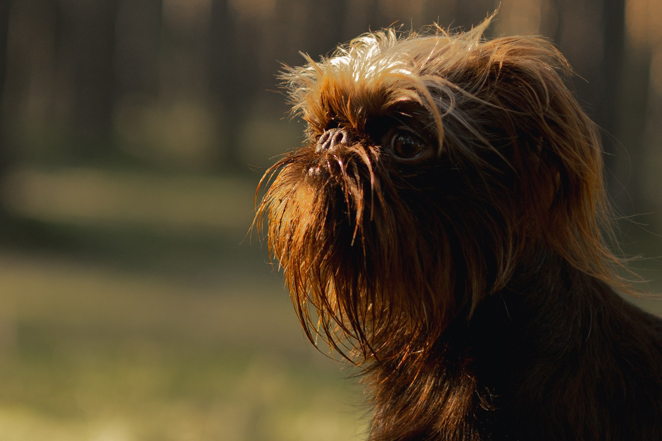 Катерина & Лунка. Фотограф — анималист •love-story•|Санкт-Петербург