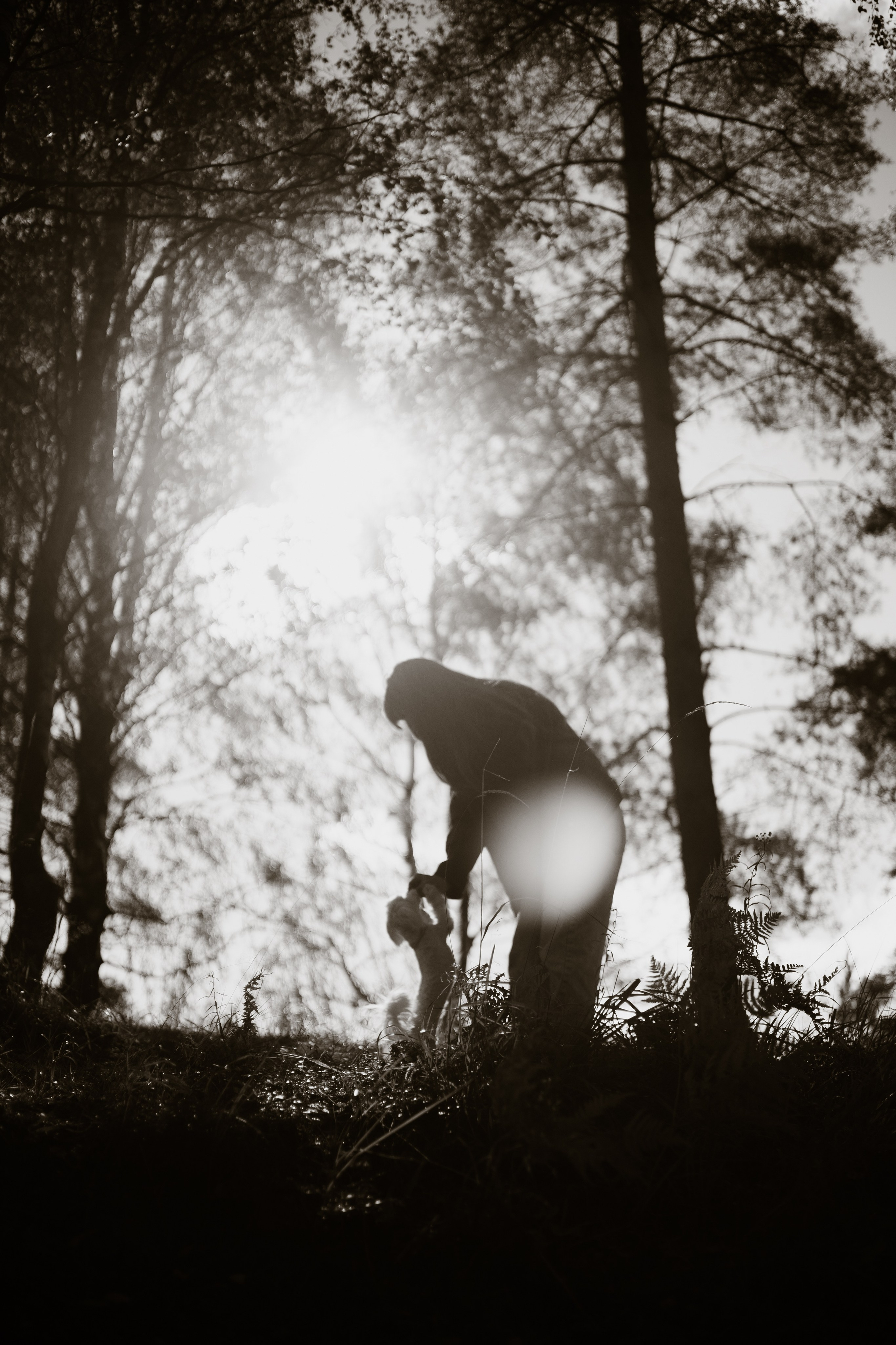 Любовь & Белла. Фотограф — анималист •love-story•|Санкт-Петербург