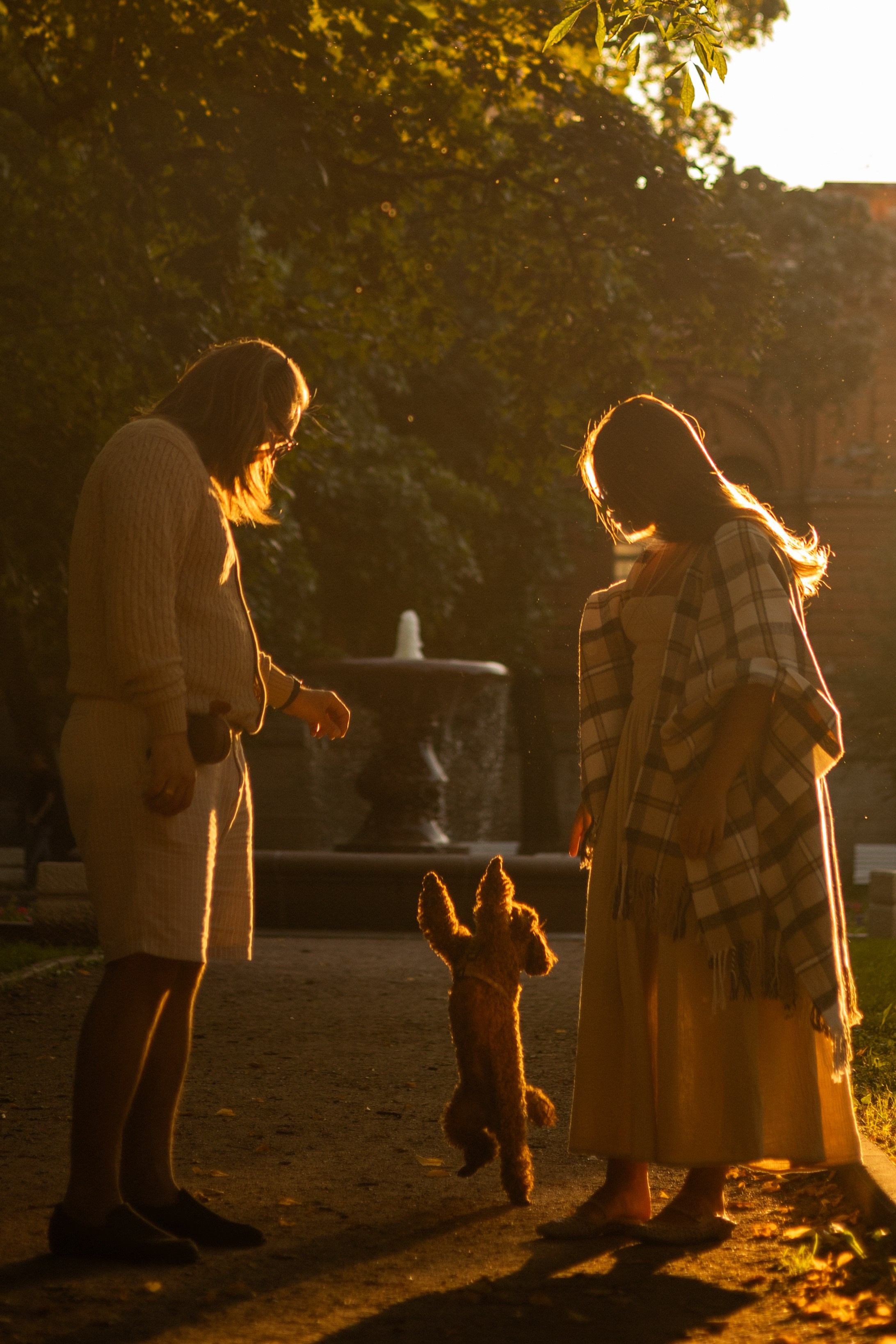 Мишель и её семья. Фотограф — анималист •love-story•|Санкт-Петербург