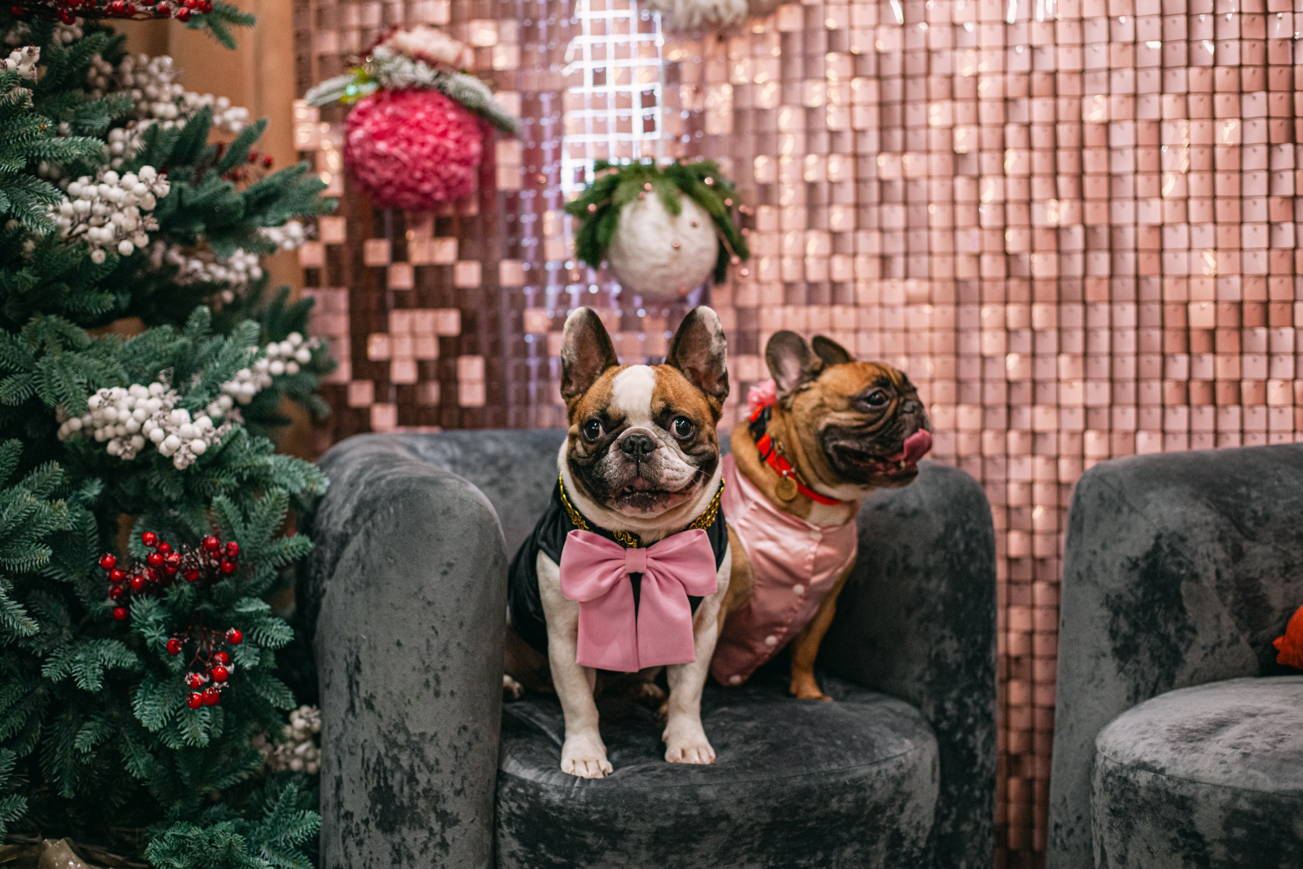 Бульёлка 2024. Фотограф-анималист Татьяна Степанова