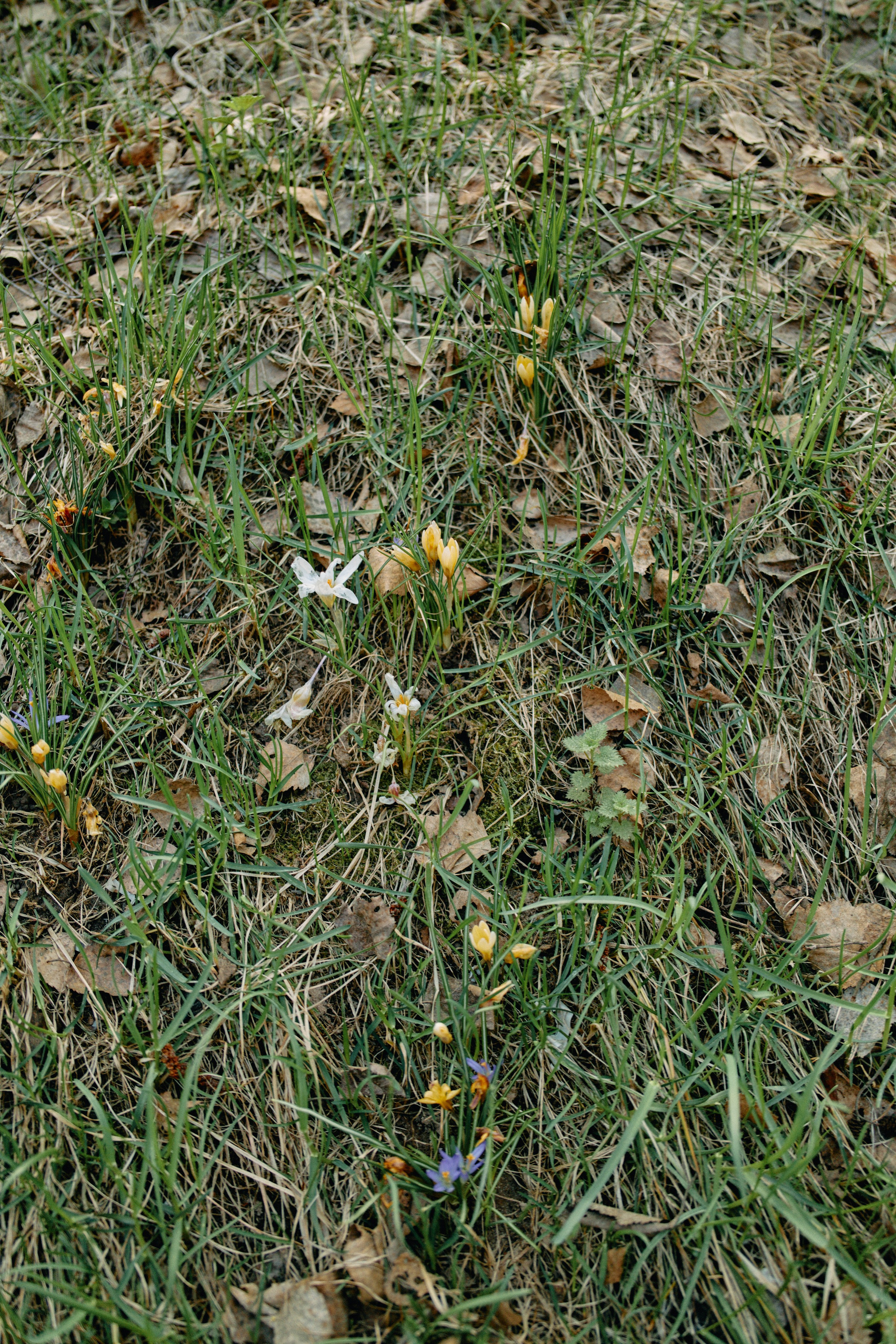 Бутик-отель Поле летом. Профессиональный Фотограф во Владимире, в Москве и в Суздале — Полина Романычева