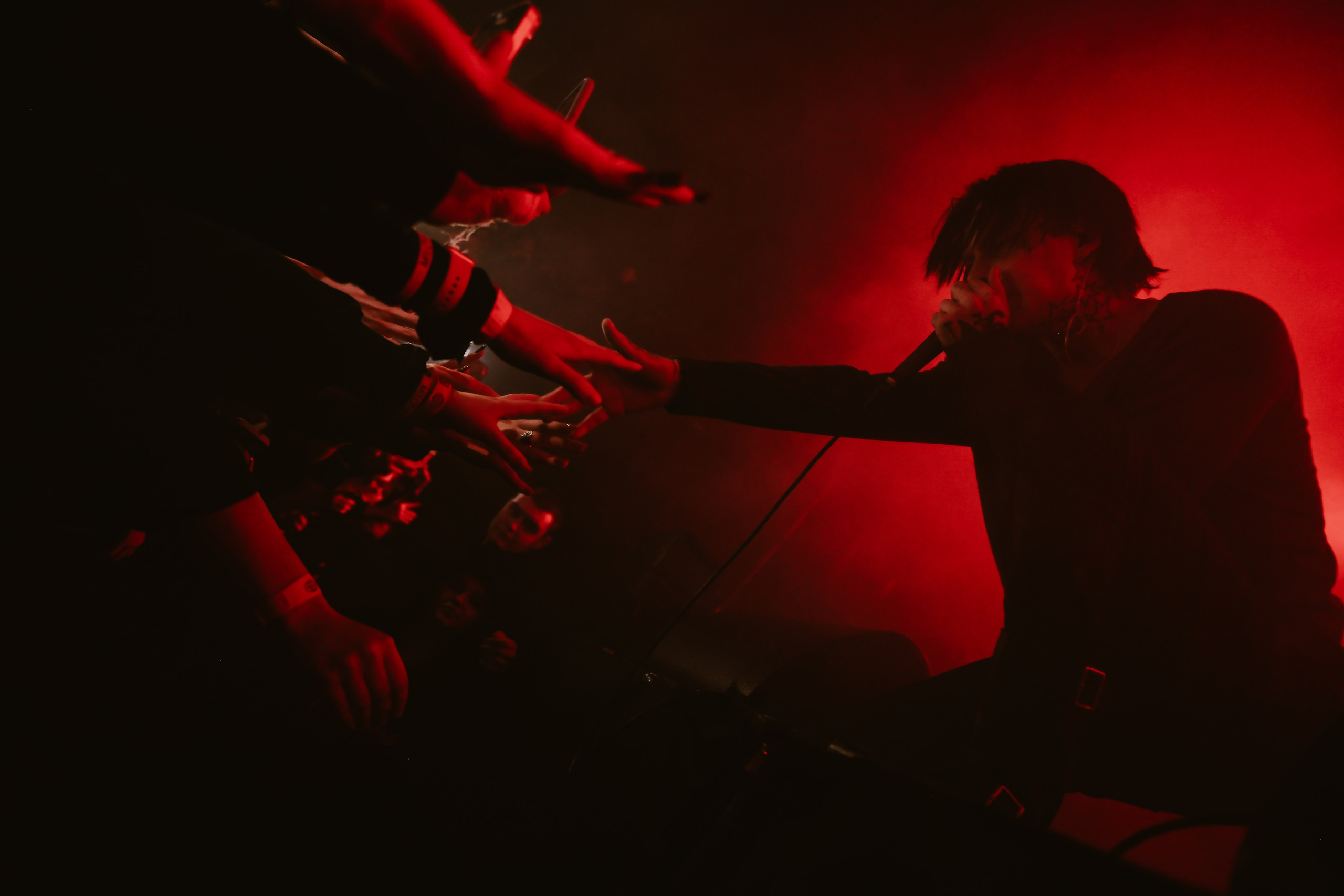 9mice. Фотограф нижний новгород — мирон