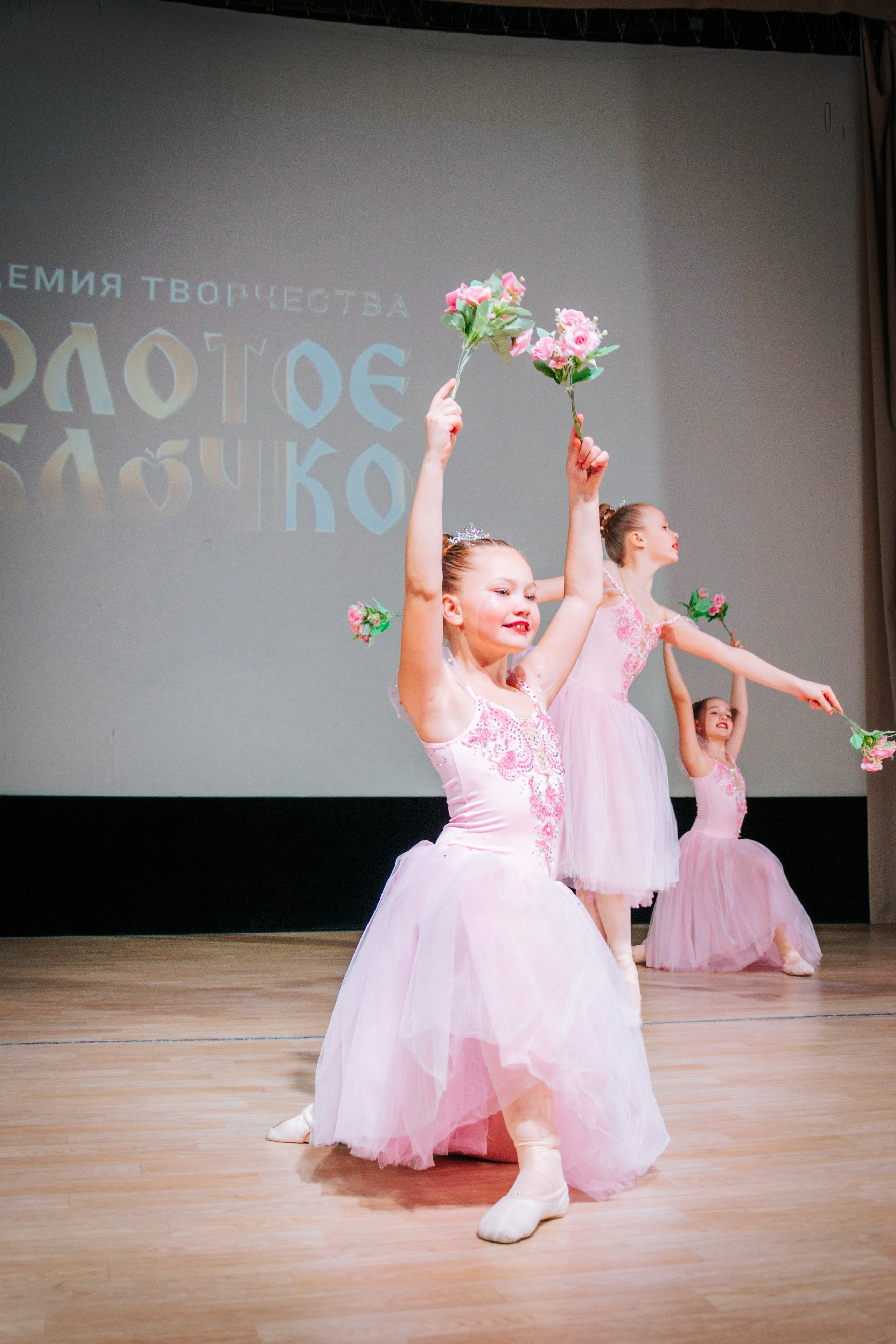 16 марта, г. Суздаль. Золотое яблочко