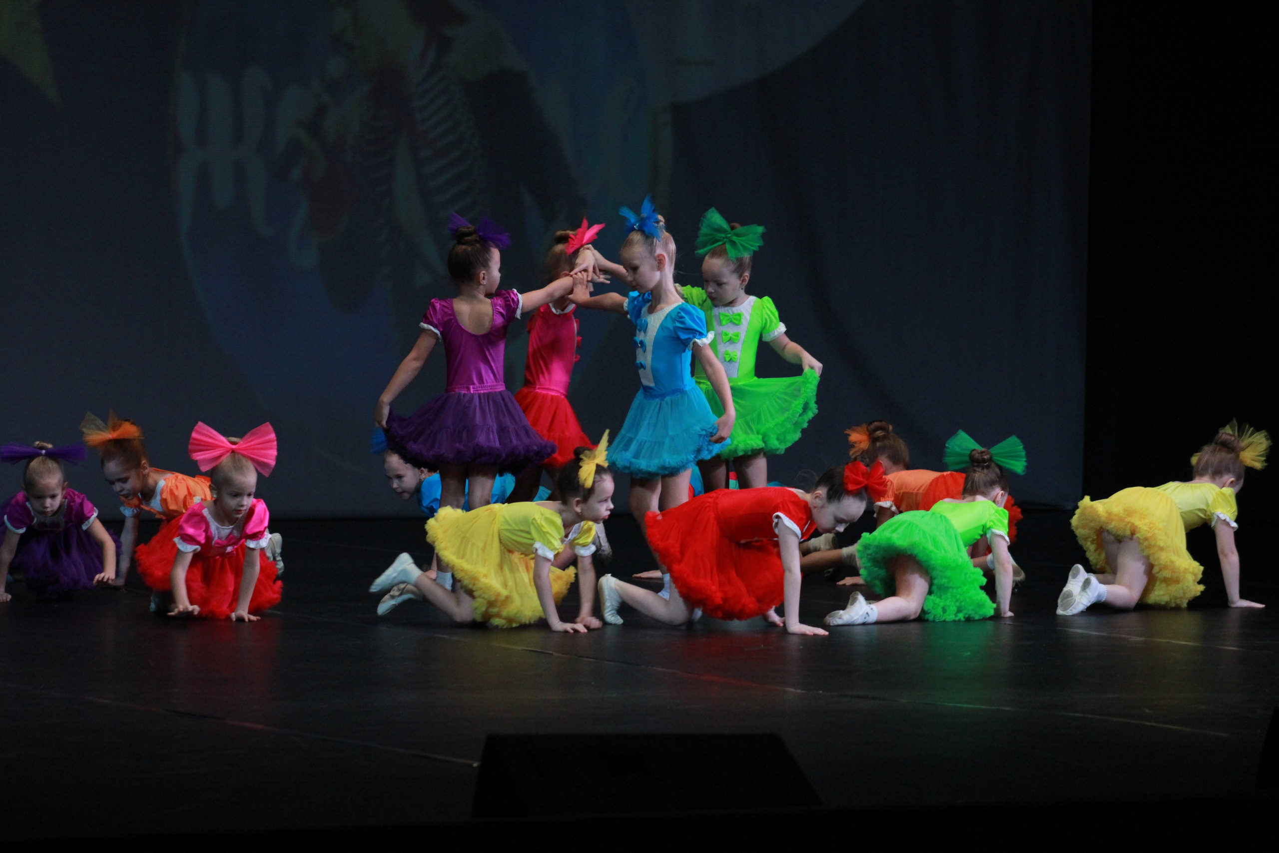 15 декабря, г. Архангельск. Золотое яблочко