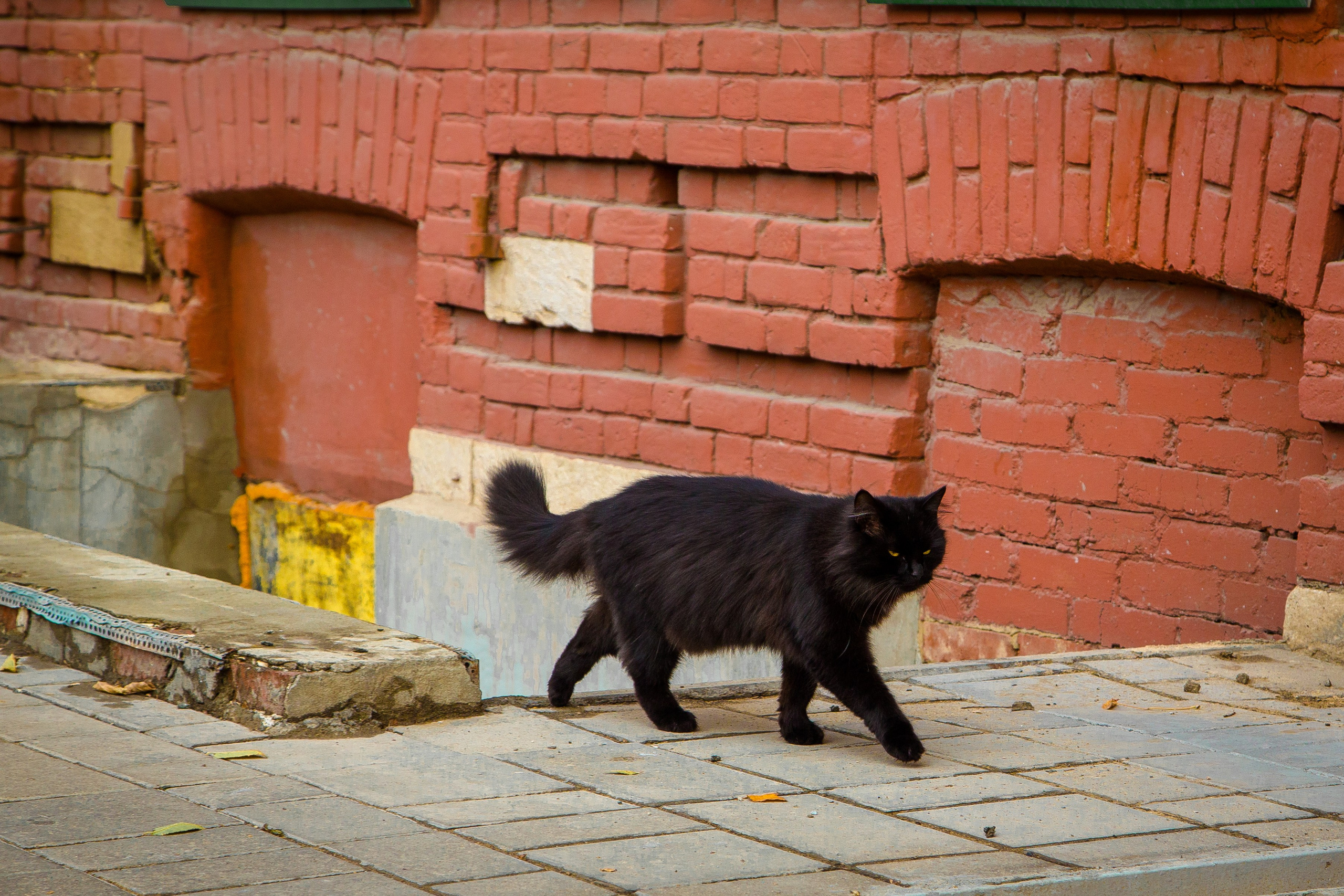 Старый Оренбург. Ваш фотограф в Оренбурге Рощупкина Екатерина
