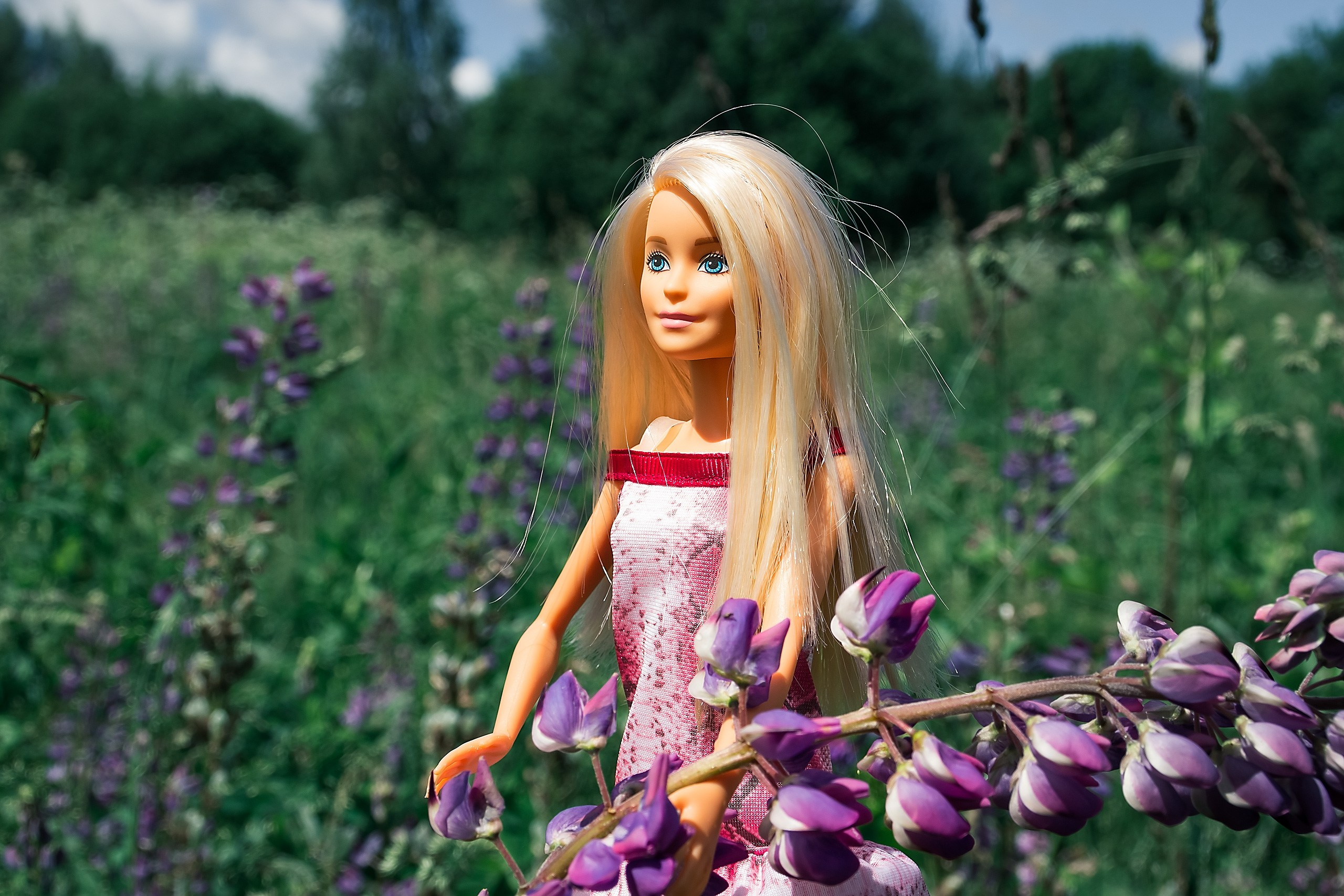 Сказка — Быль. Аmat Victoria Сuram