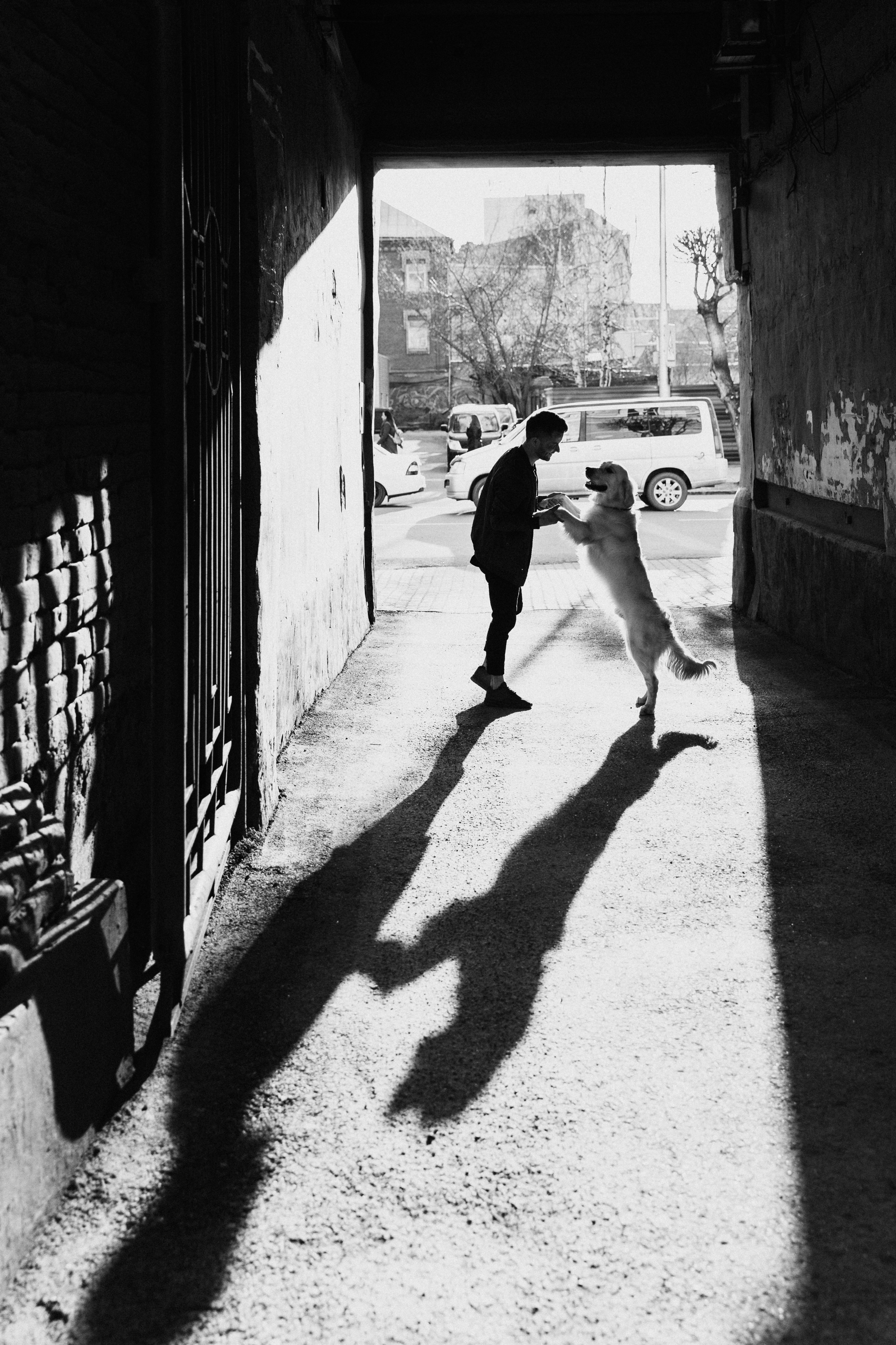 Ваня и Марли. Фотограф Контузорова Ольга