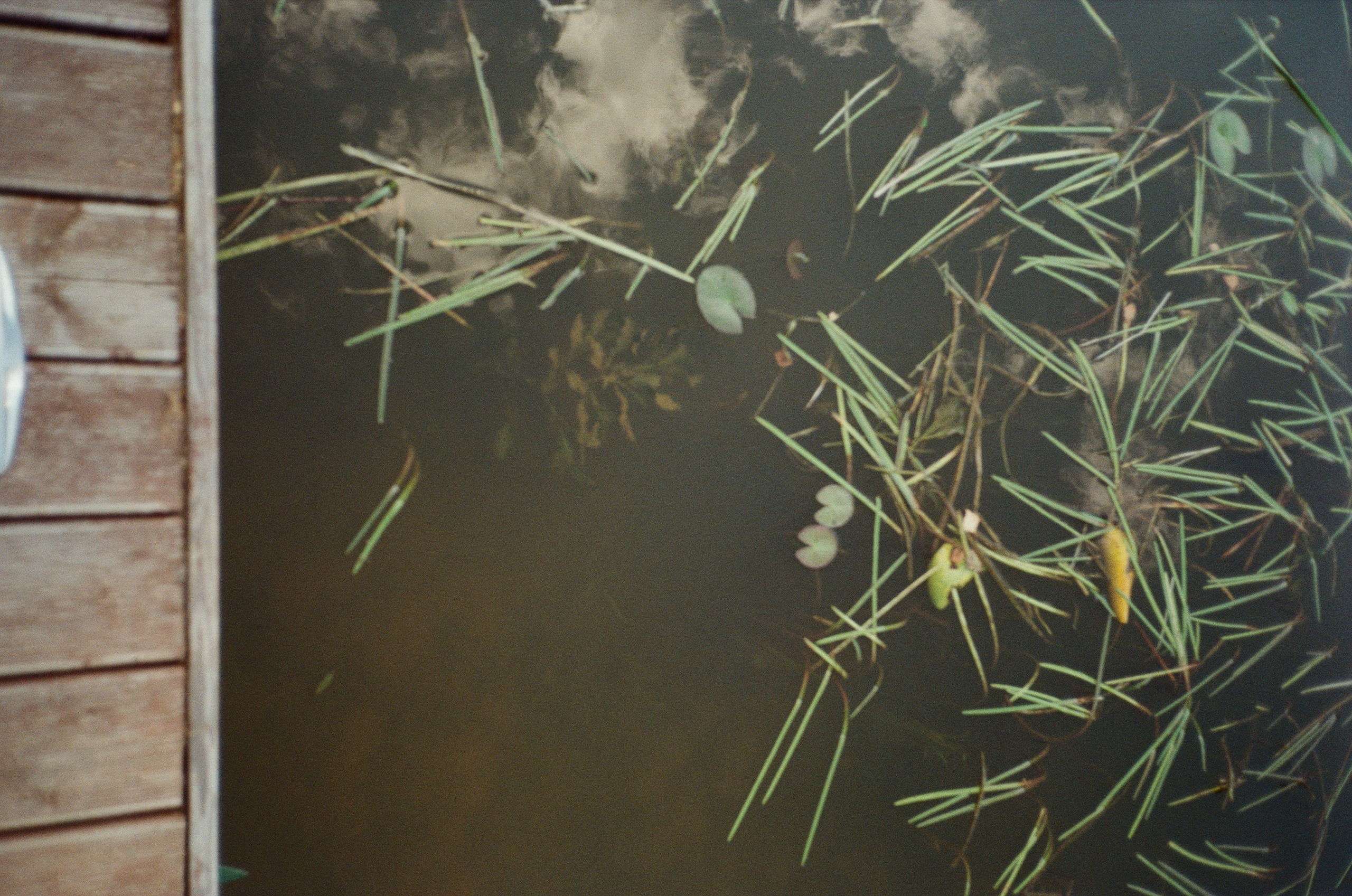 Тихая Заводь. Golden hour. Фотограф-документалист Мария Осокина