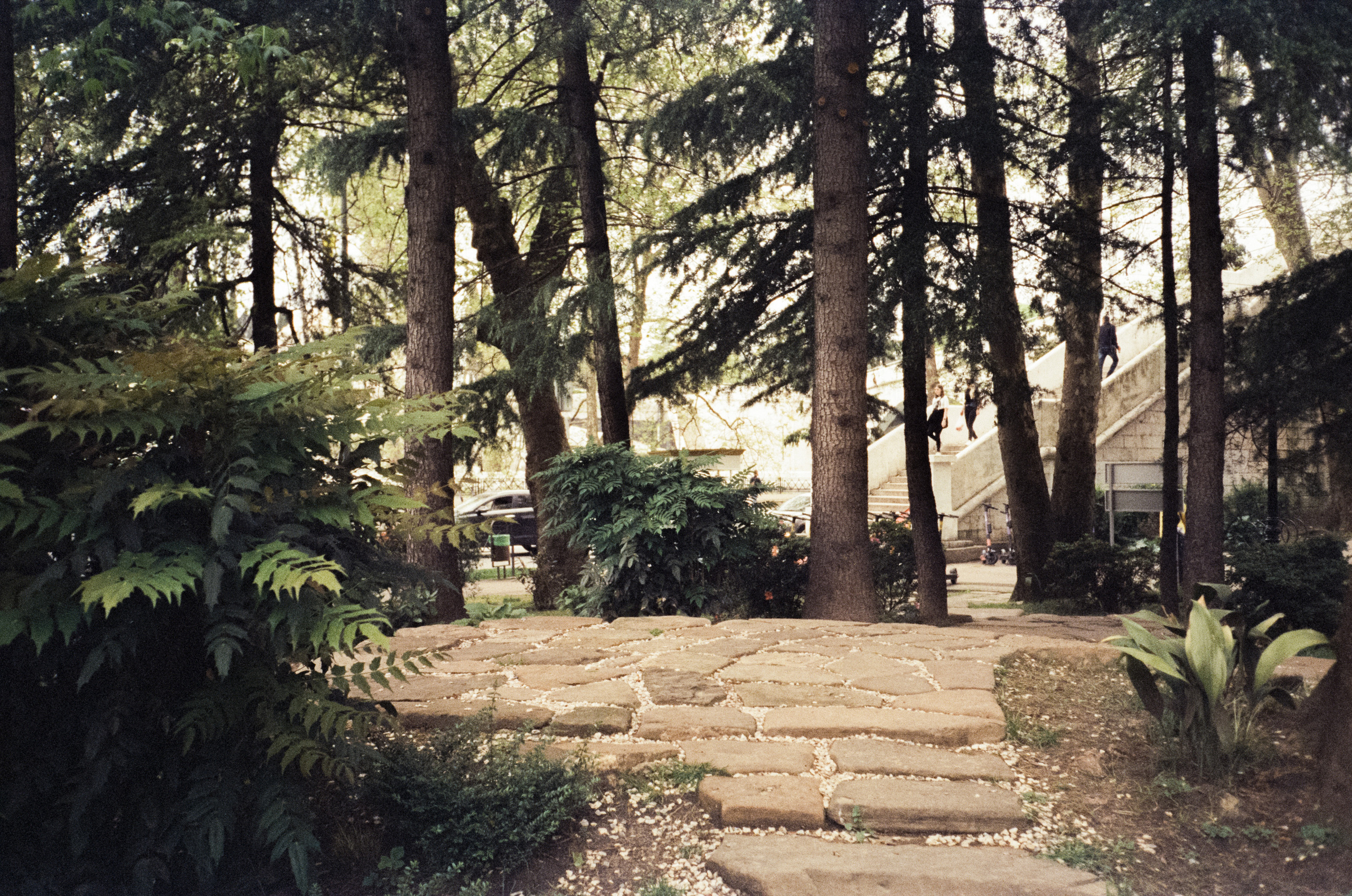 Комсомольский сквер, улочки Сочи и морской порт. Фотограф-документалист Мария Осокина