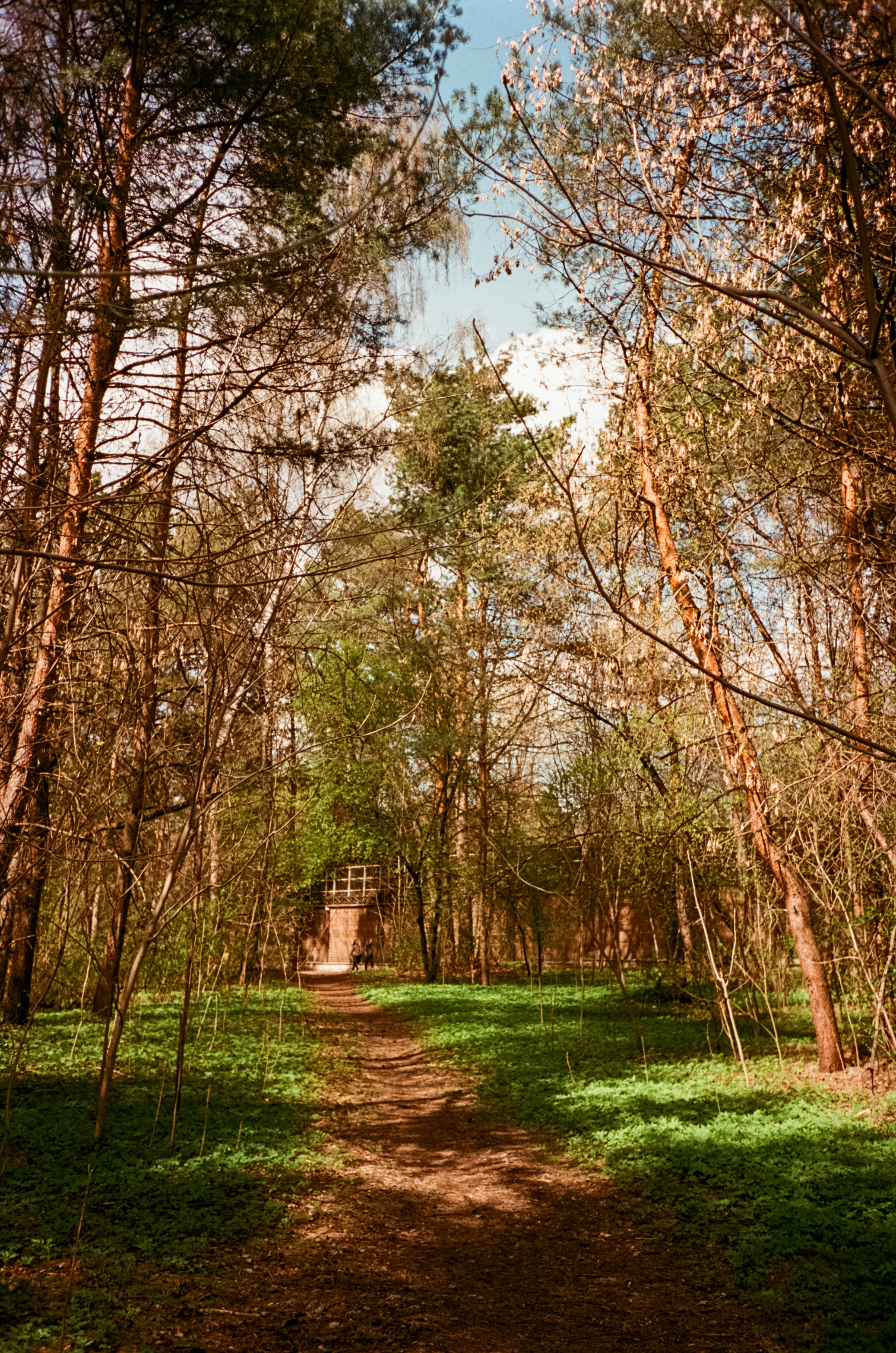 Серебряный Бор. Май. Сепия. Фотограф-документалист Мария Осокина