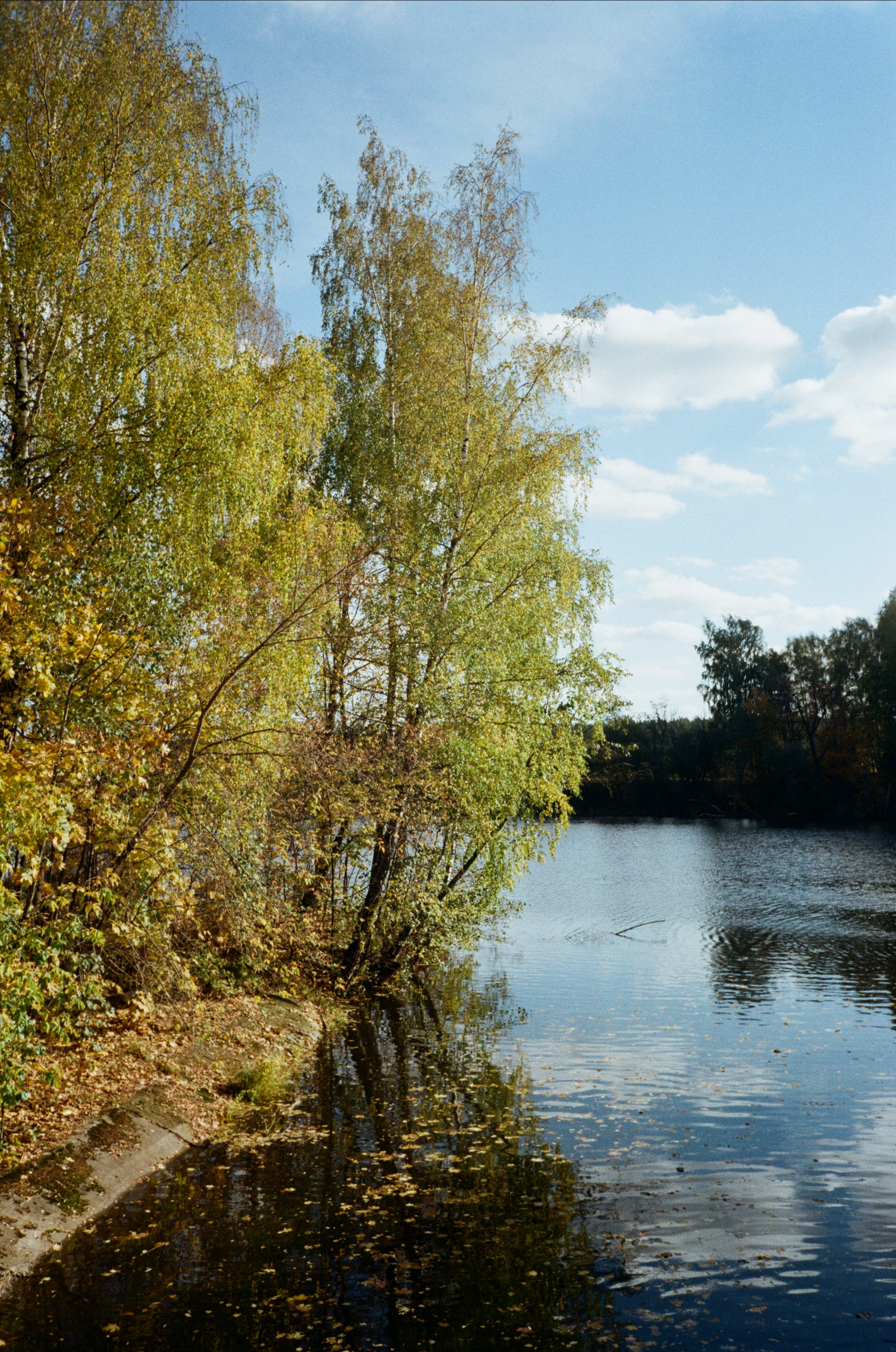 Архангельское. Золотая осень. Фотограф-документалист Мария Осокина