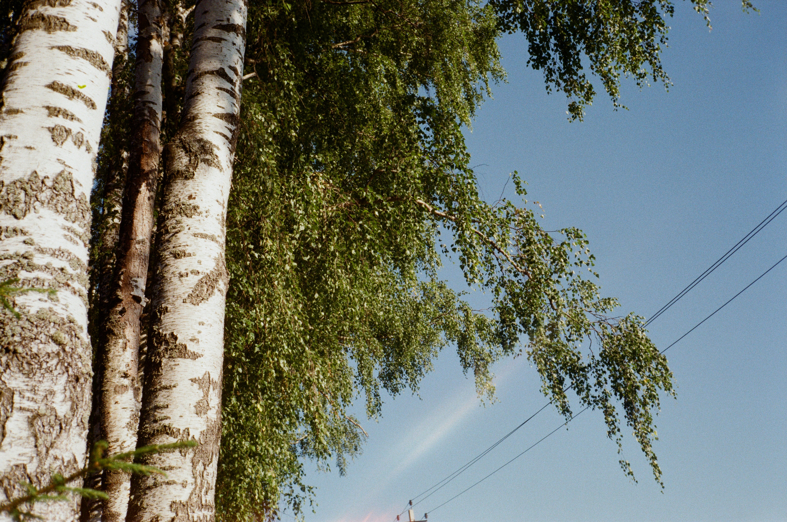 Тихая Заводь. Golden hour. Фотограф-документалист Мария Осокина
