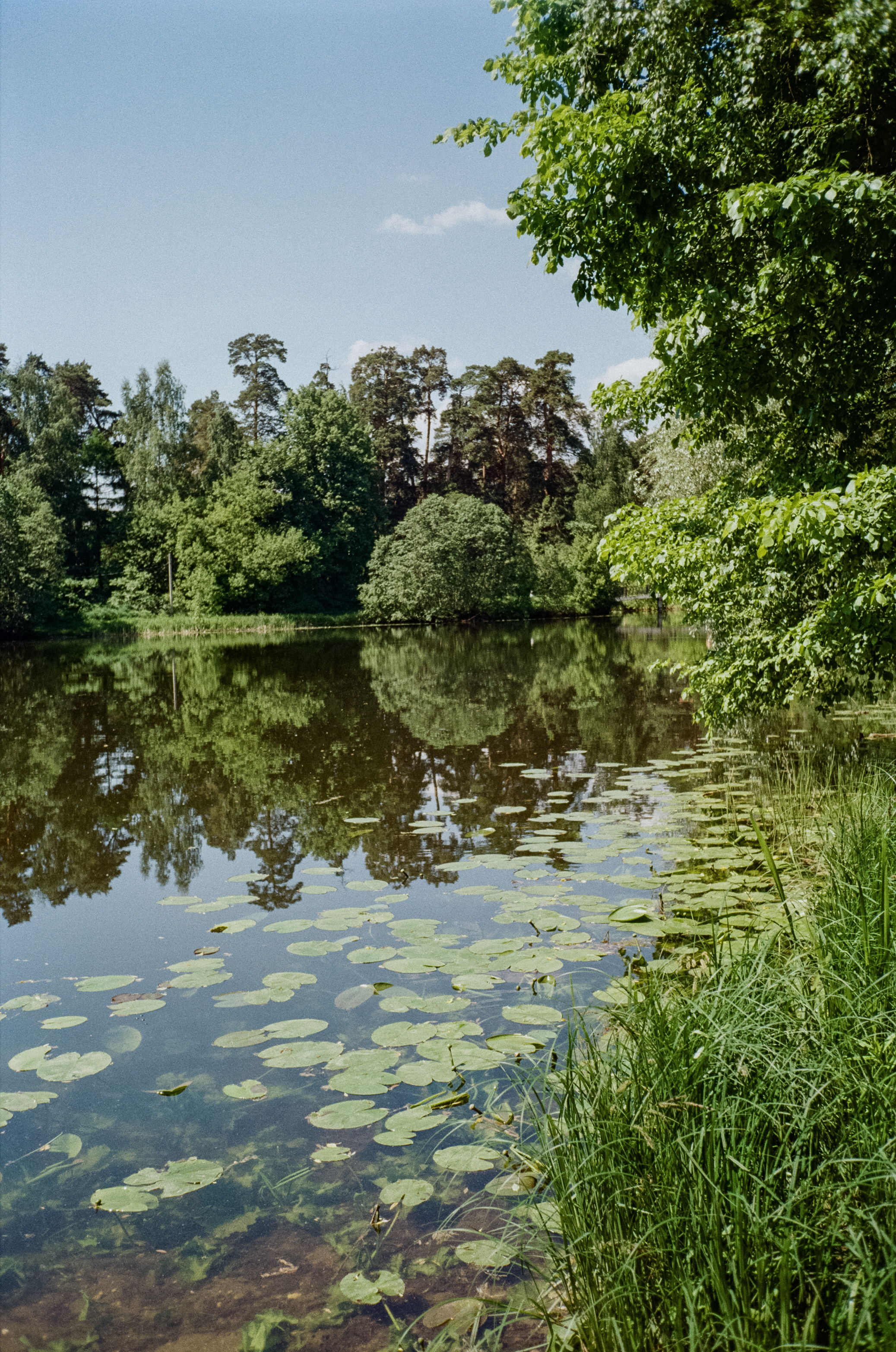 Серебряный Бор. Импрессионизм. Фотограф-документалист Мария Осокина