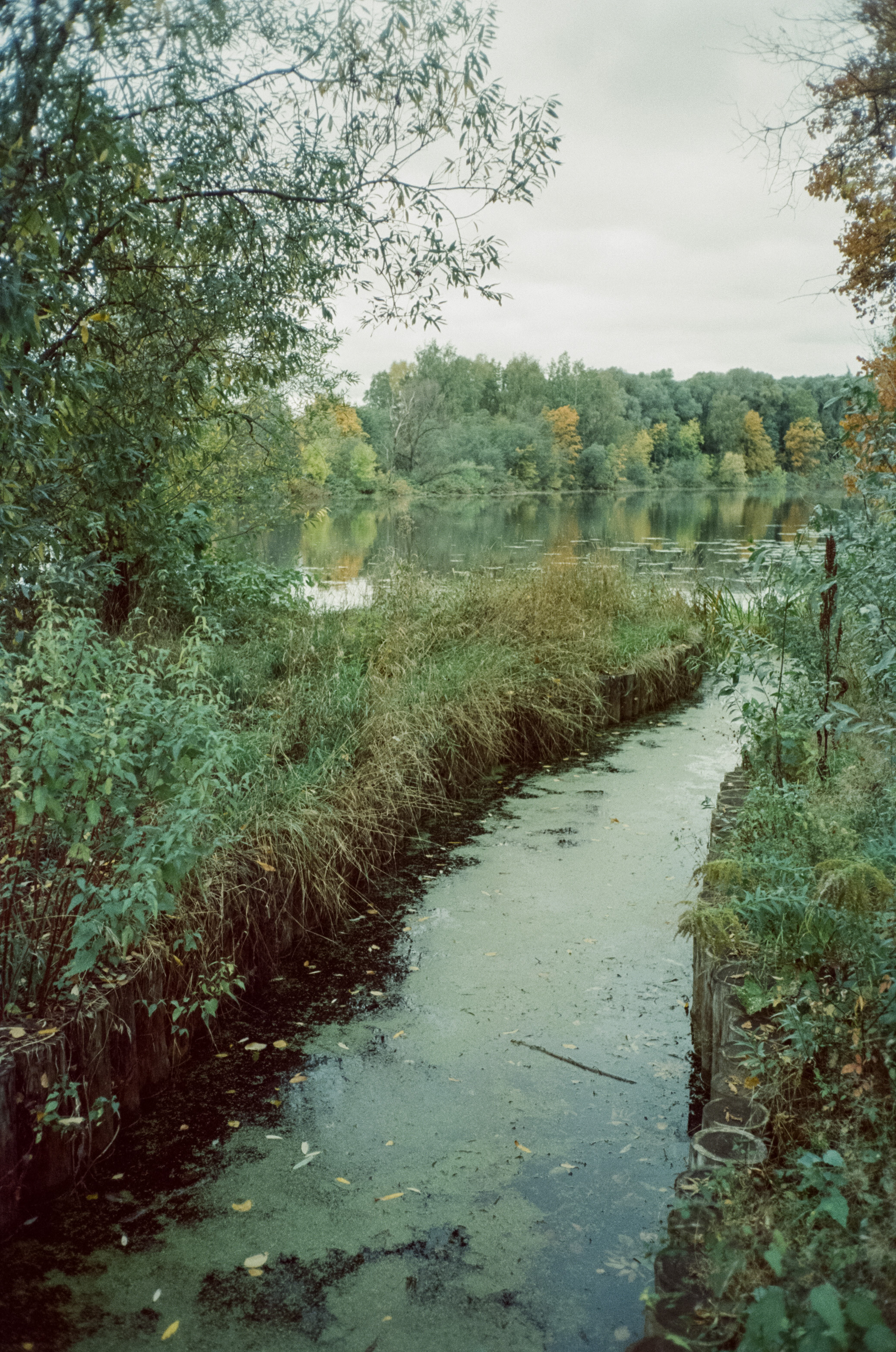 Архангельское. Начало осени. Фотограф-документалист Мария Осокина