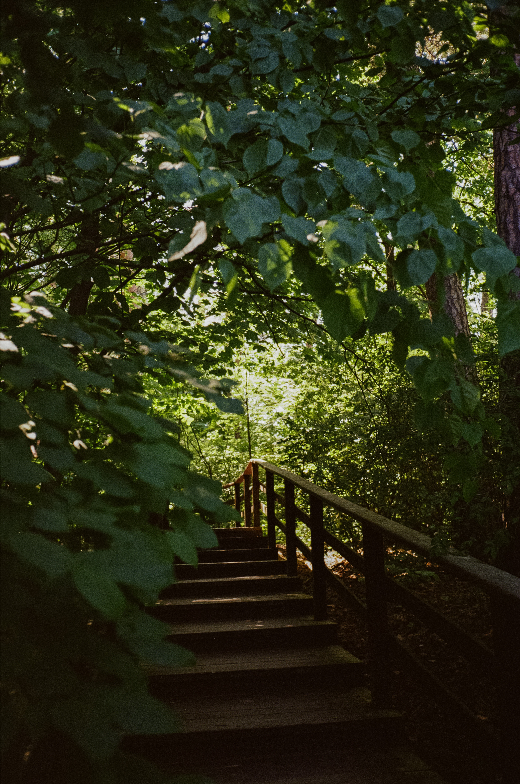Серебряный Бор. Импрессионизм. Фотограф-документалист Мария Осокина