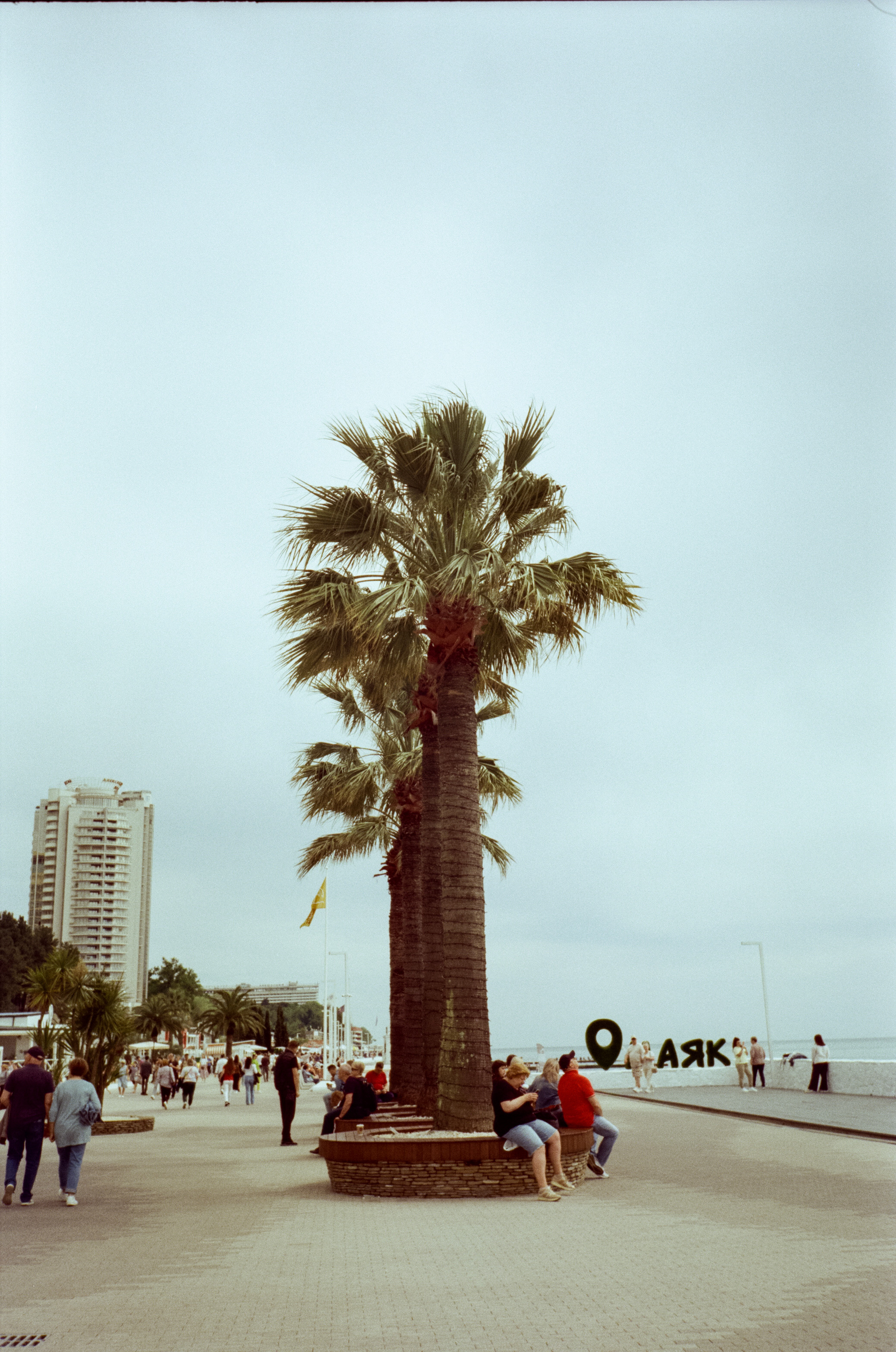 Прогулка по набережной Сочи: море, пальмы и уютная кофейня. Фотограф-документалист Мария Осокина