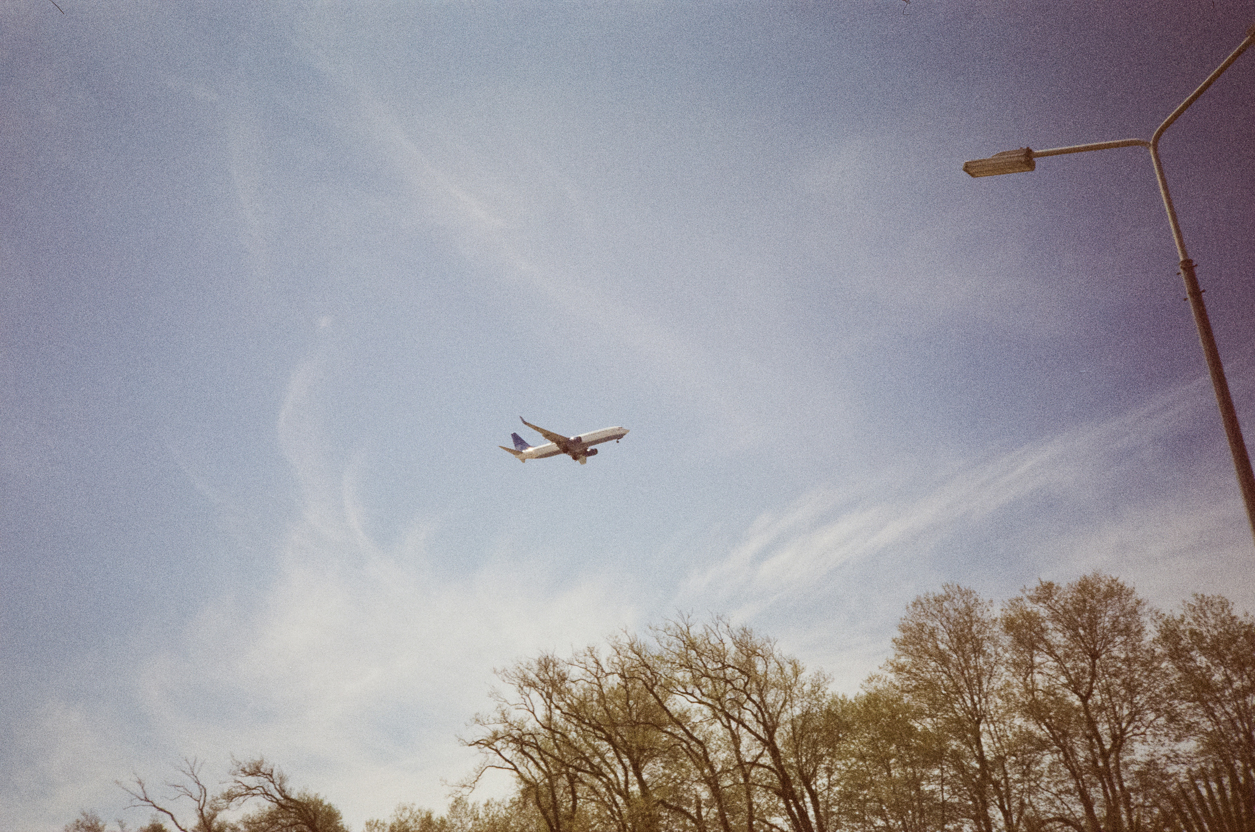 Южные культуры в Адлере. Самолеты. Фотограф-документалист Мария Осокина