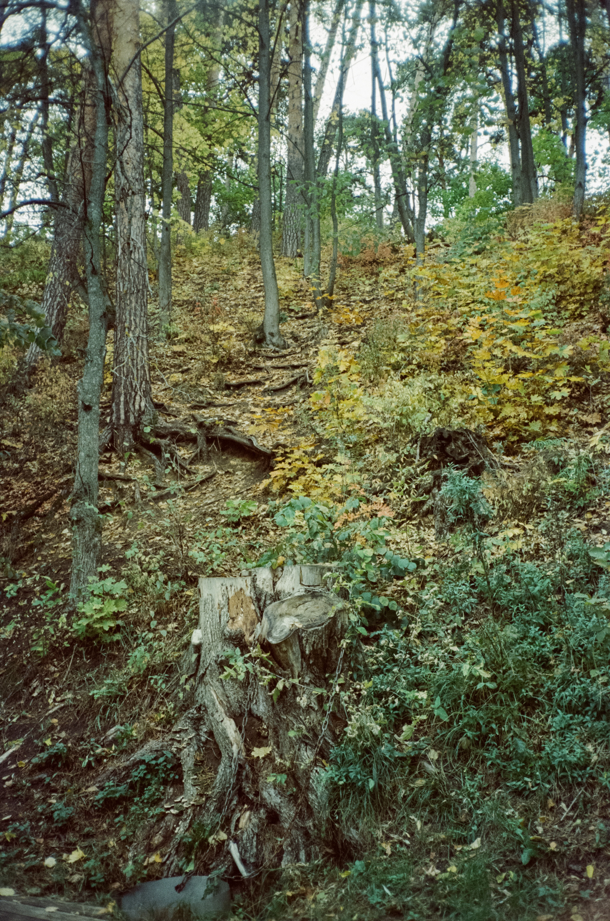 Архангельское. Начало осени. Фотограф-документалист Мария Осокина