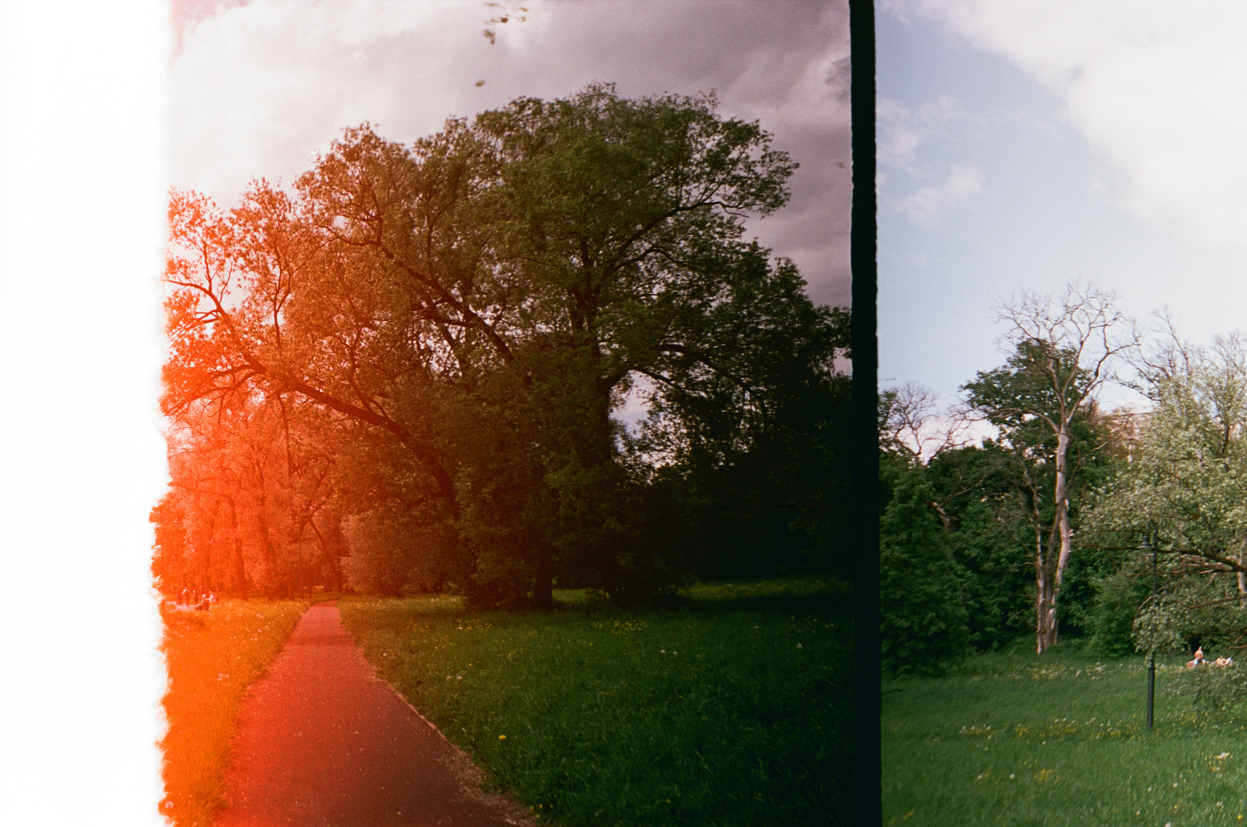 Архангельское. Июнь. Фотограф-документалист Мария Осокина