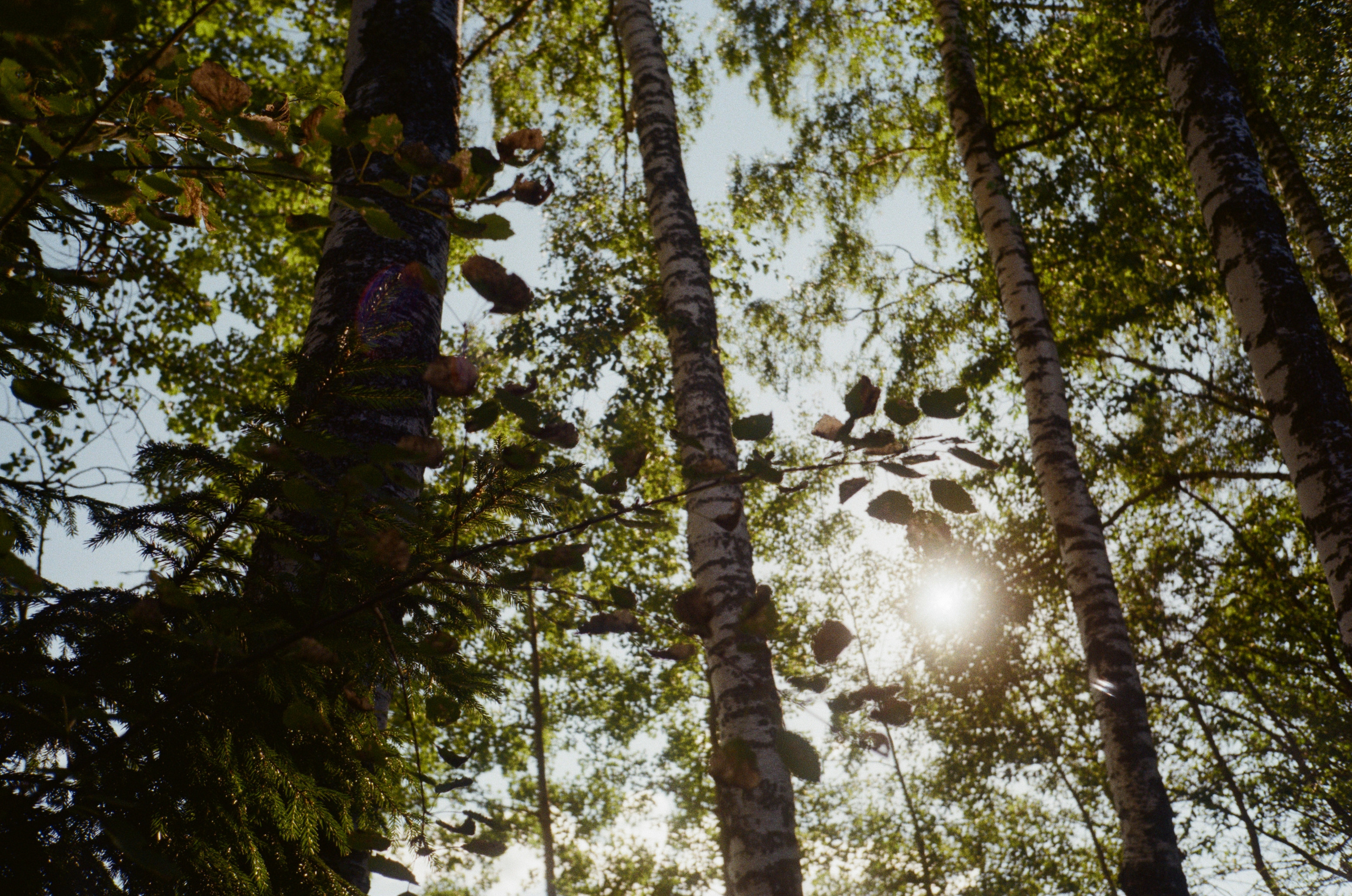 Тихая Заводь. Golden hour. Фотограф-документалист Мария Осокина