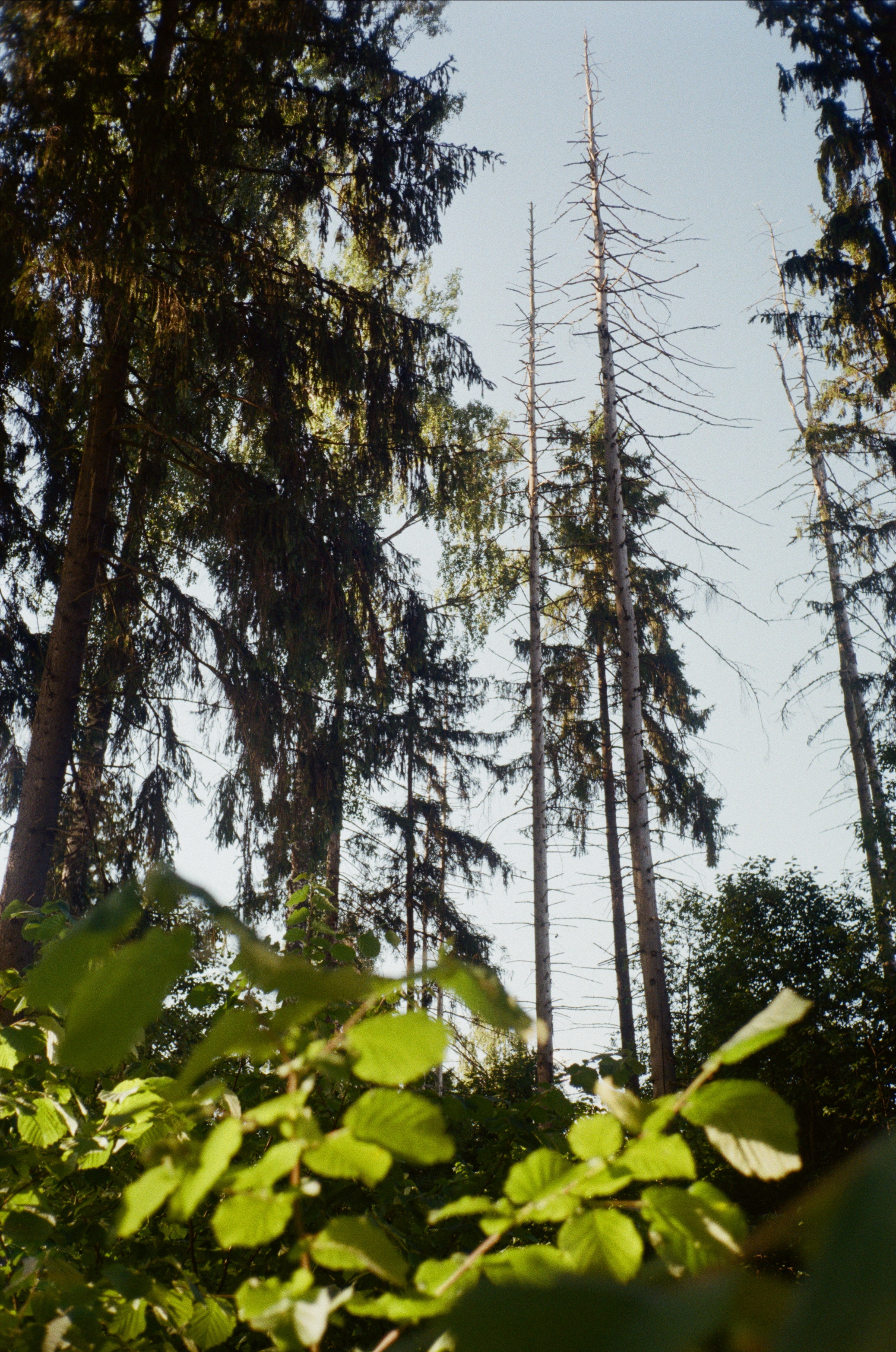 Тихая Заводь. Golden hour. Фотограф-документалист Мария Осокина