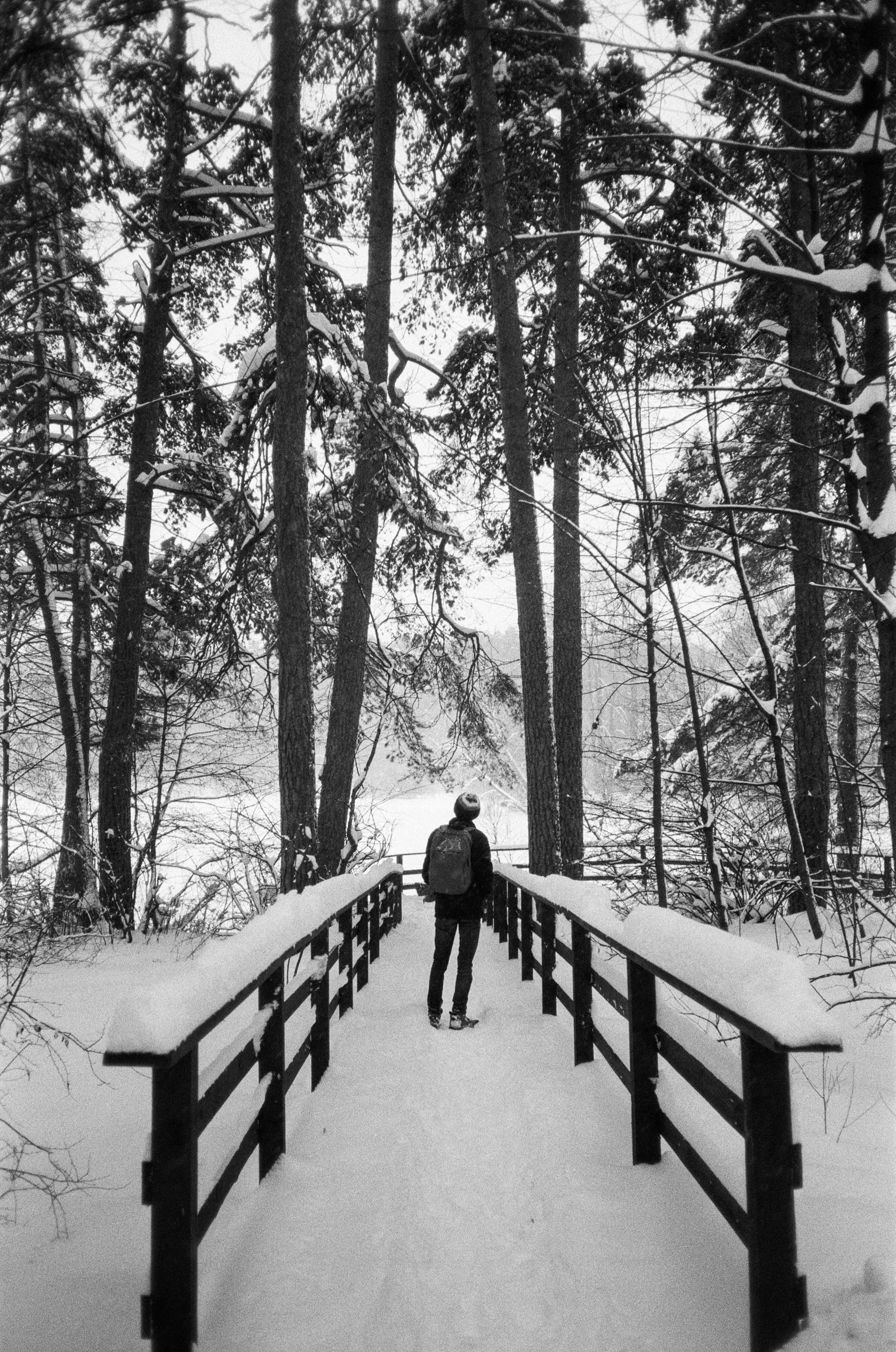 Серебряный Бор. Черно-белая зима. Фотограф-документалист Мария Осокина