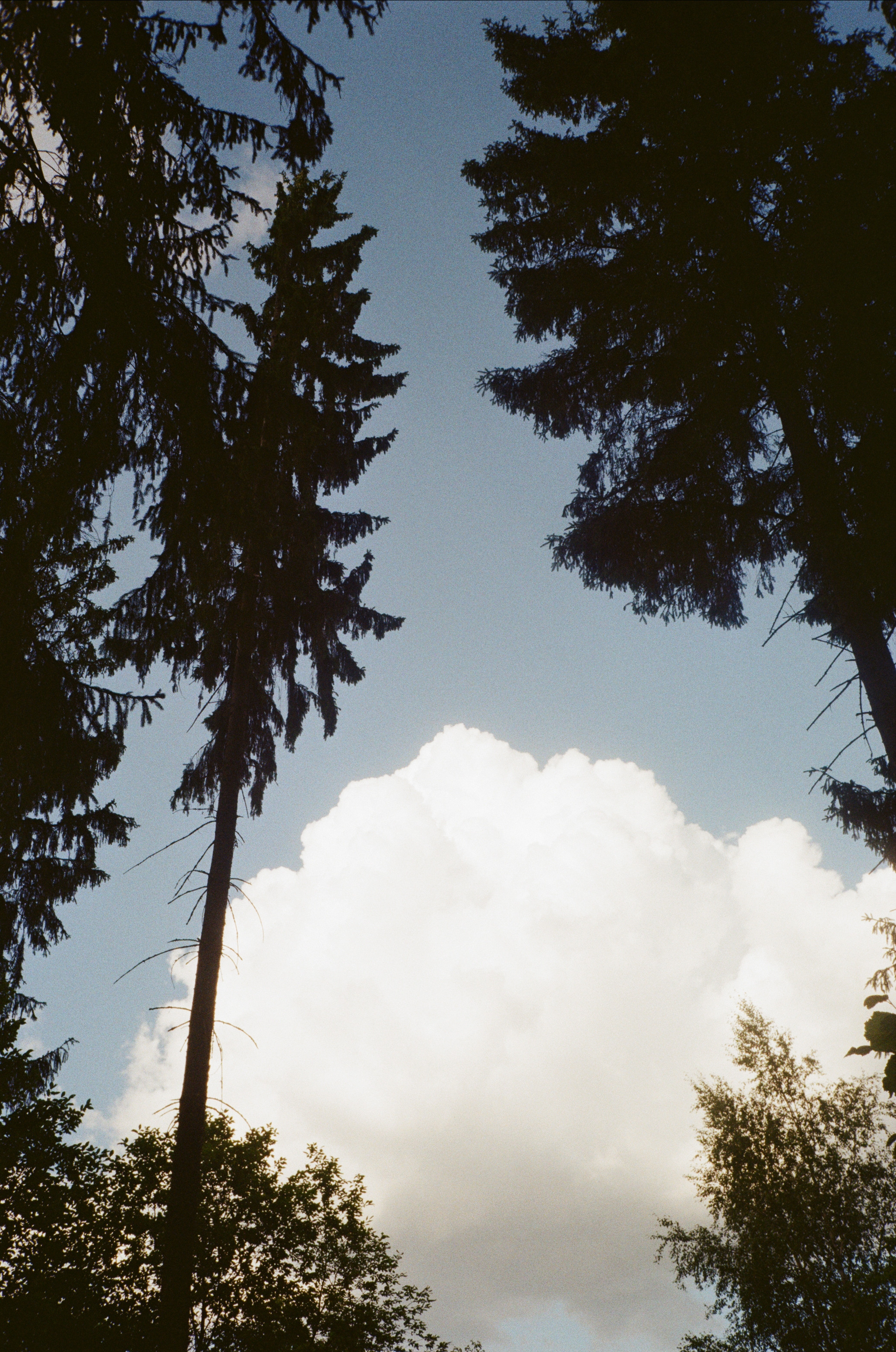 Тихая Заводь. Вечерние прогулки. Фотограф-документалист Мария Осокина