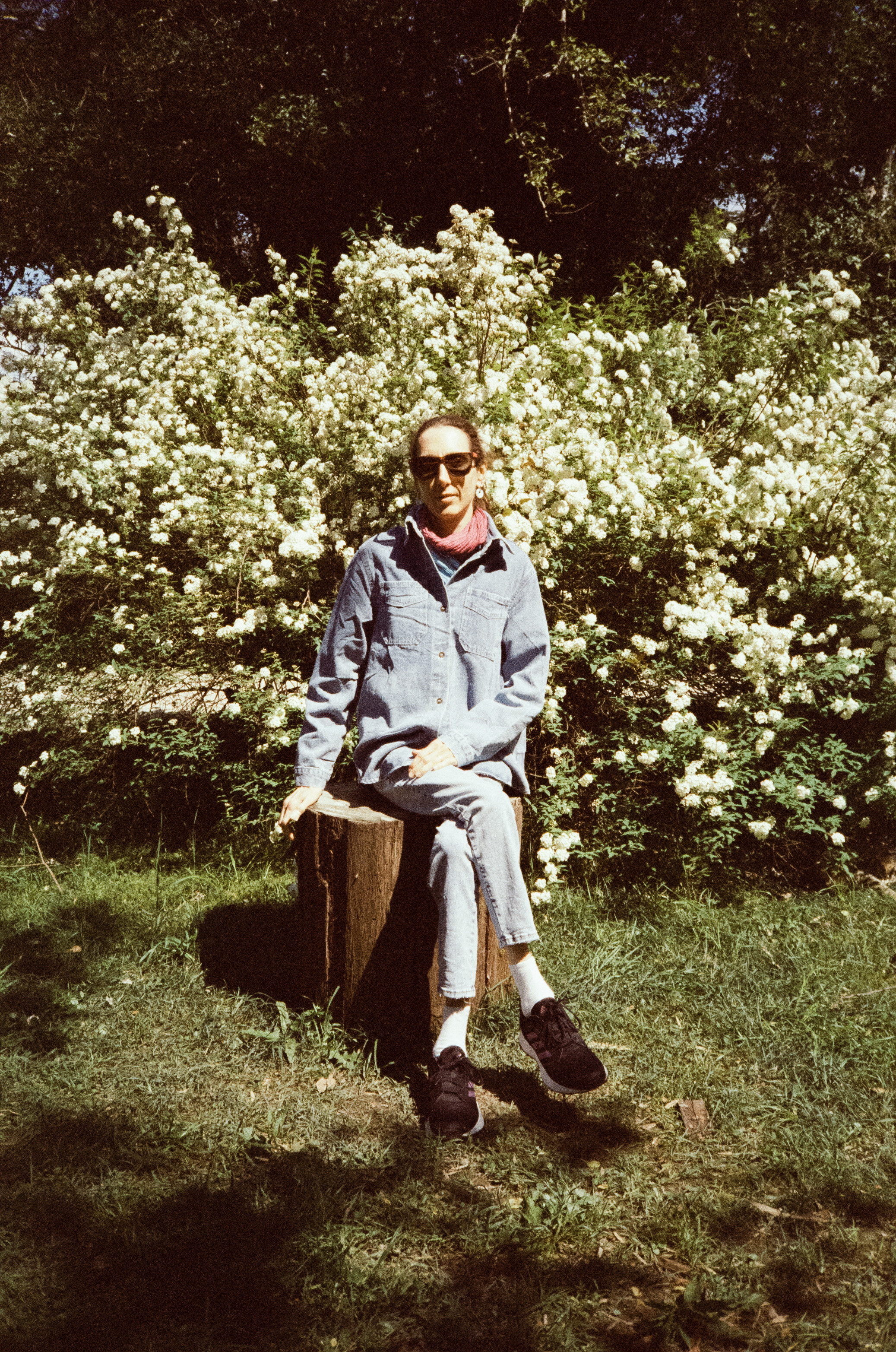 Южные культуры в Адлере. Самолеты. Фотограф-документалист Мария Осокина