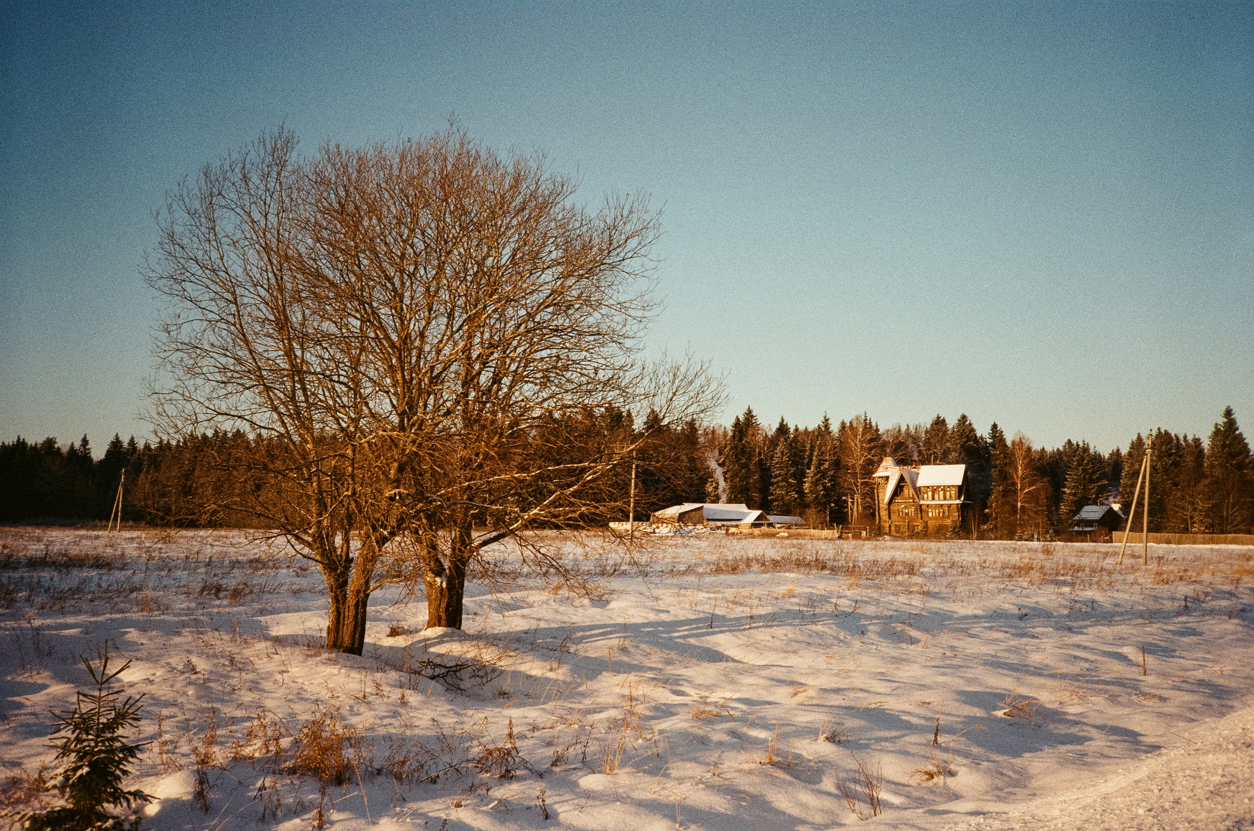 Деревня Лукино. Дорога. Фотограф-документалист Мария Осокина