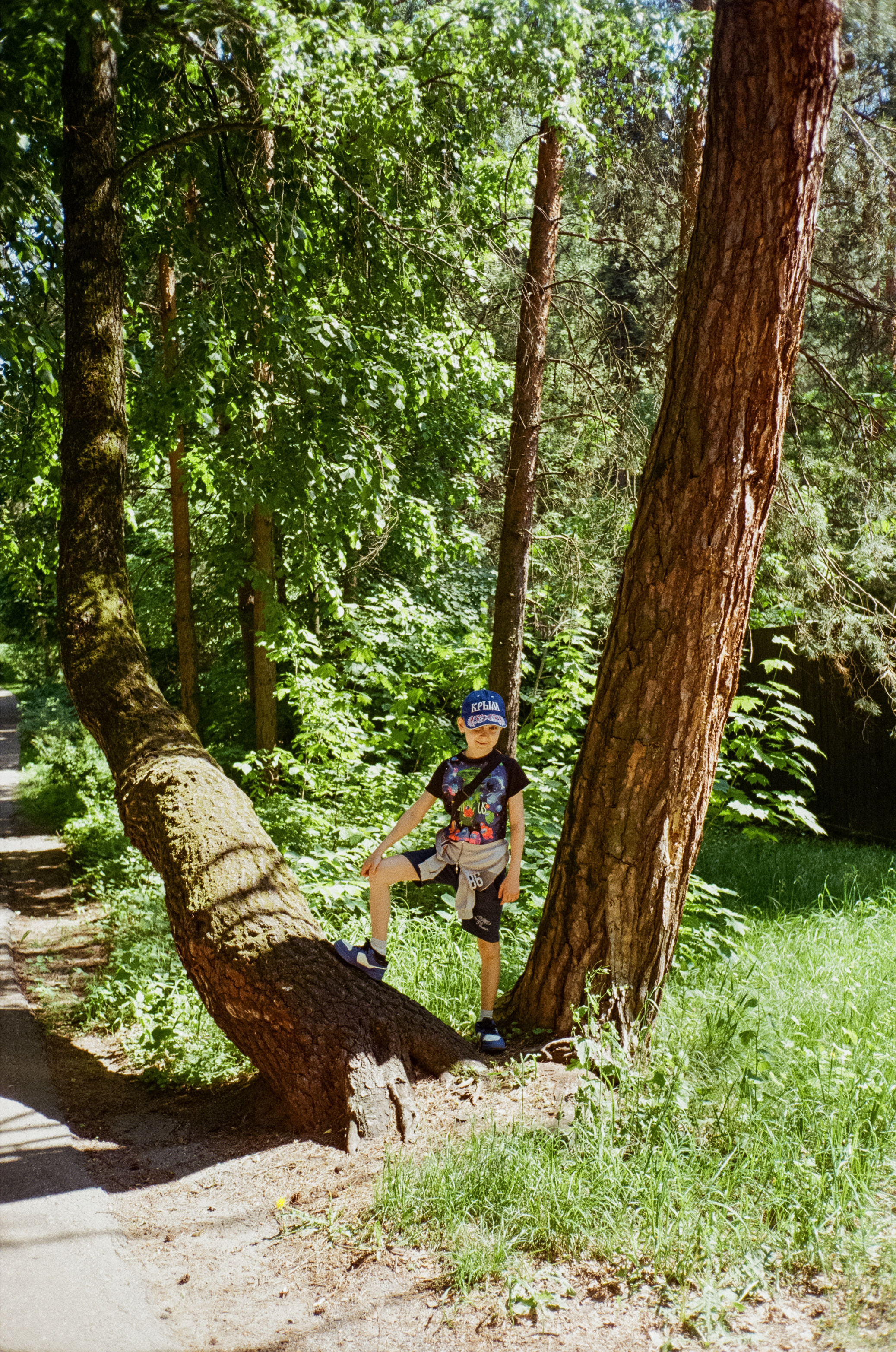 Серебряный Бор. Импрессионизм. Фотограф-документалист Мария Осокина