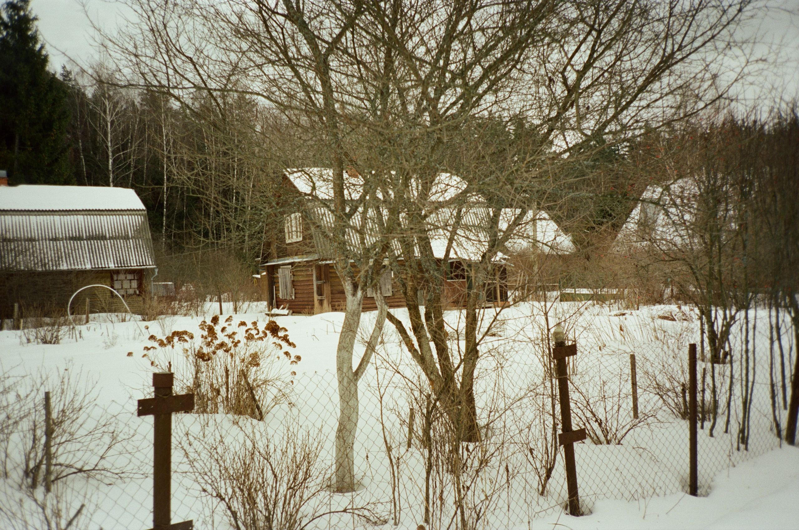 Давыдовское. Зима. Фотограф-документалист Мария Осокина