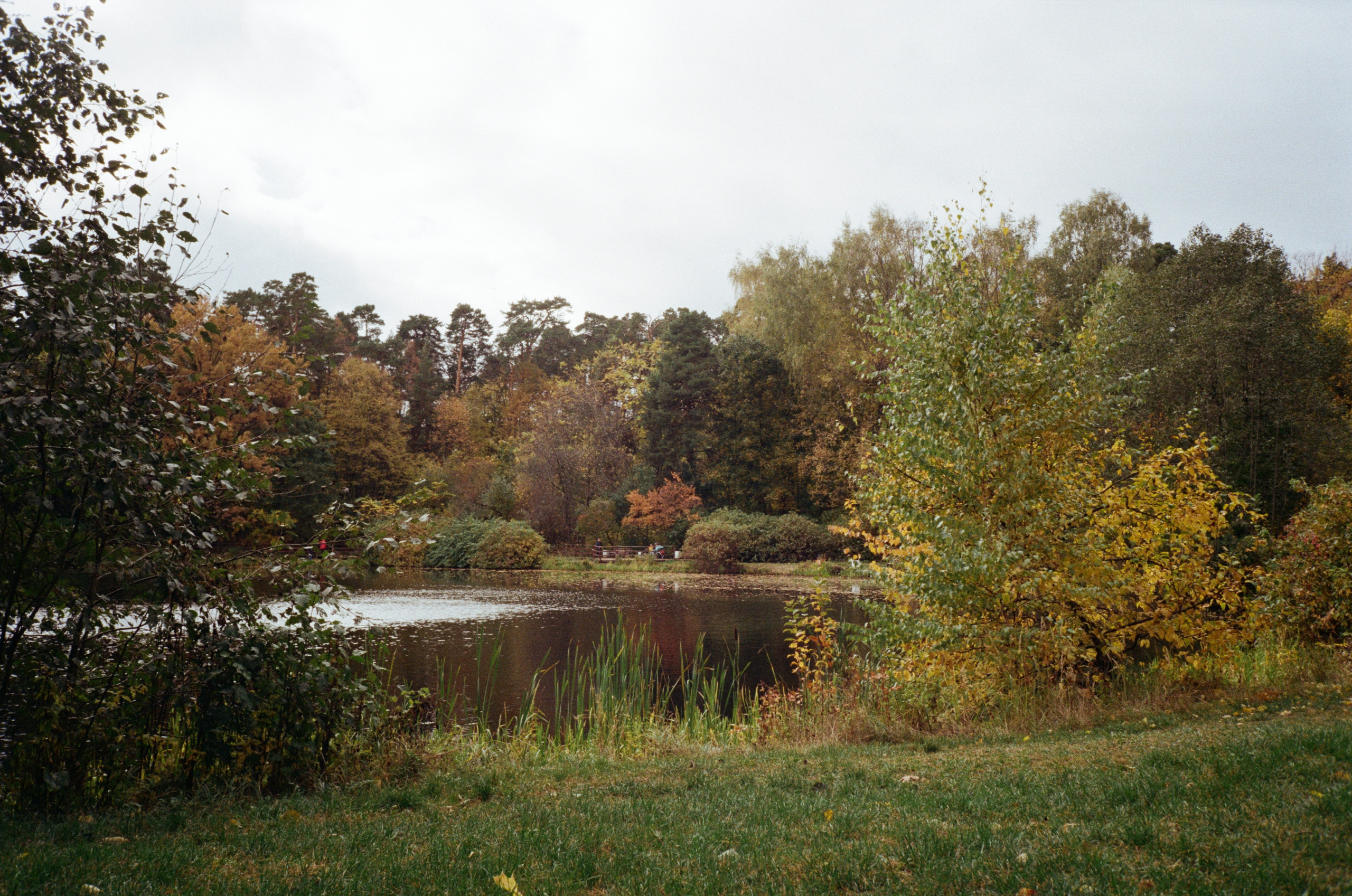 Серебряный Бор. Октябрь. Фотограф-документалист Мария Осокина
