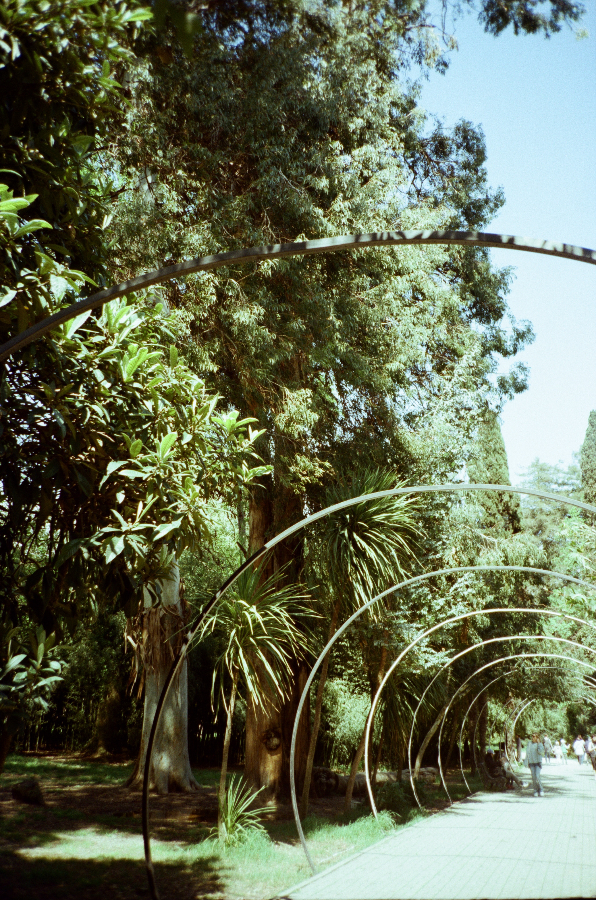 Экзотика Южных культур. Фотограф-документалист Мария Осокина