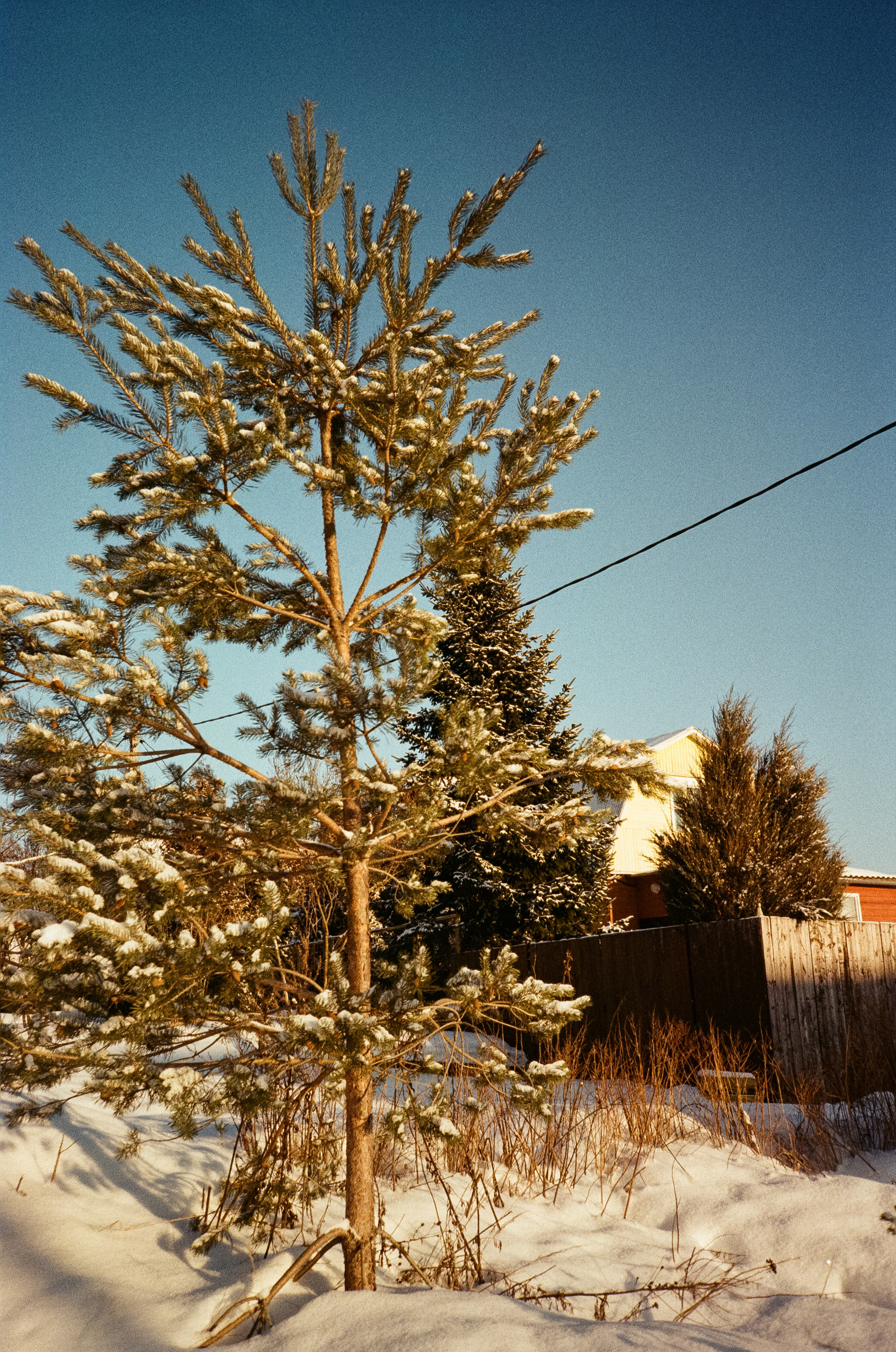 Деревня Лукино. Дорога. Фотограф-документалист Мария Осокина