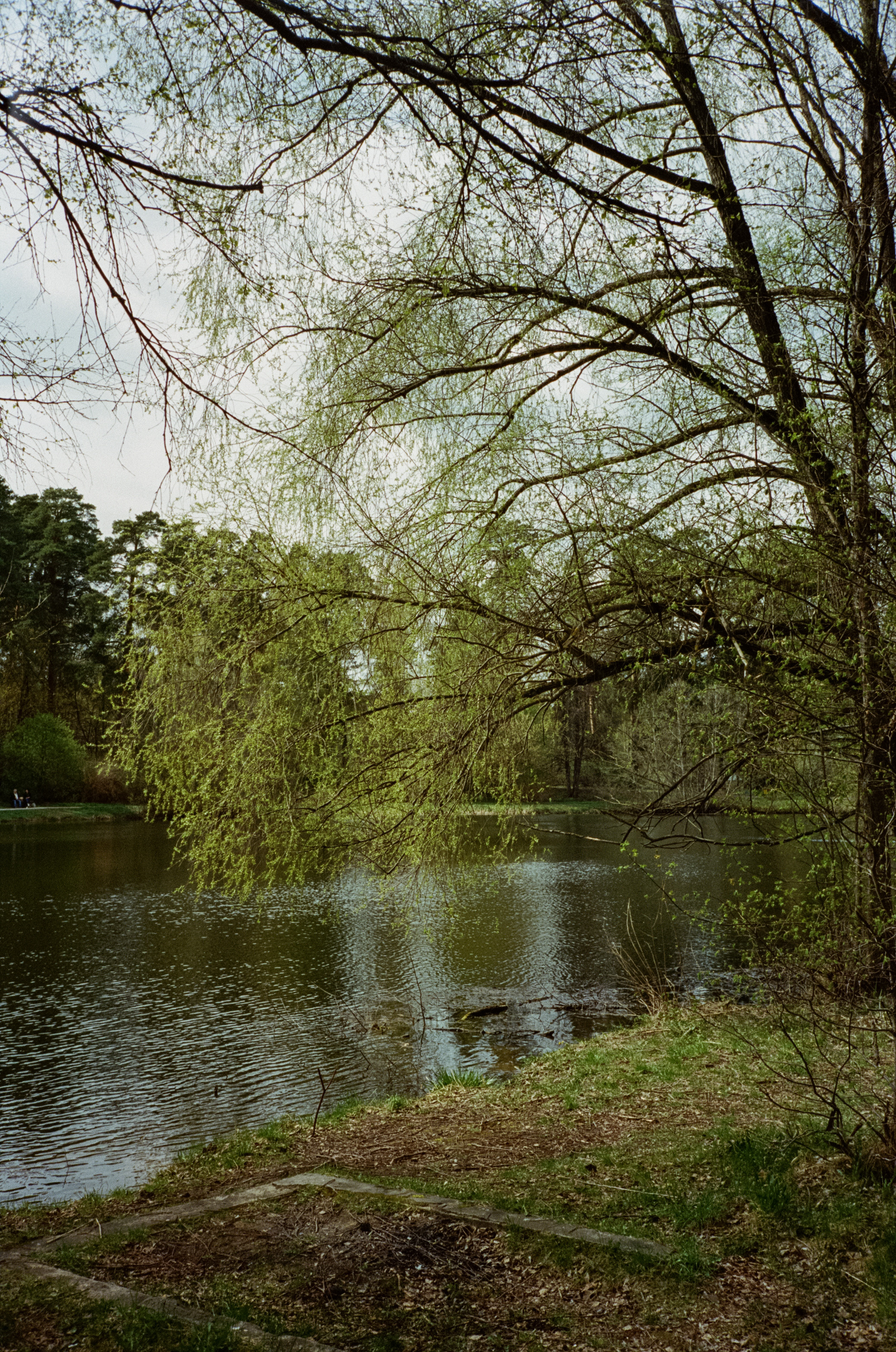 Серебряный бор. Весна. Фотограф-документалист Мария Осокина