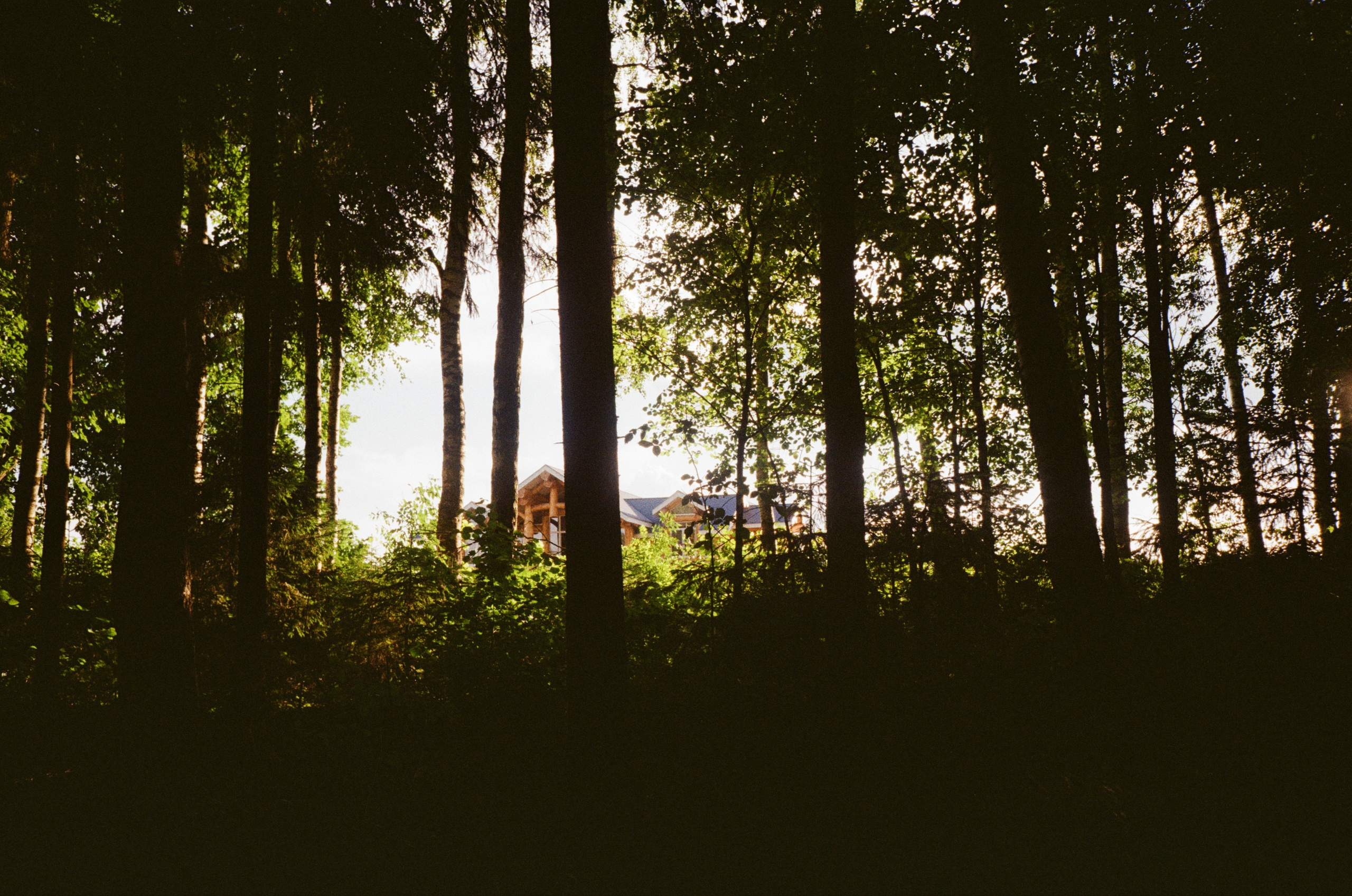 Тихая Заводь. Вечерние прогулки. Фотограф-документалист Мария Осокина