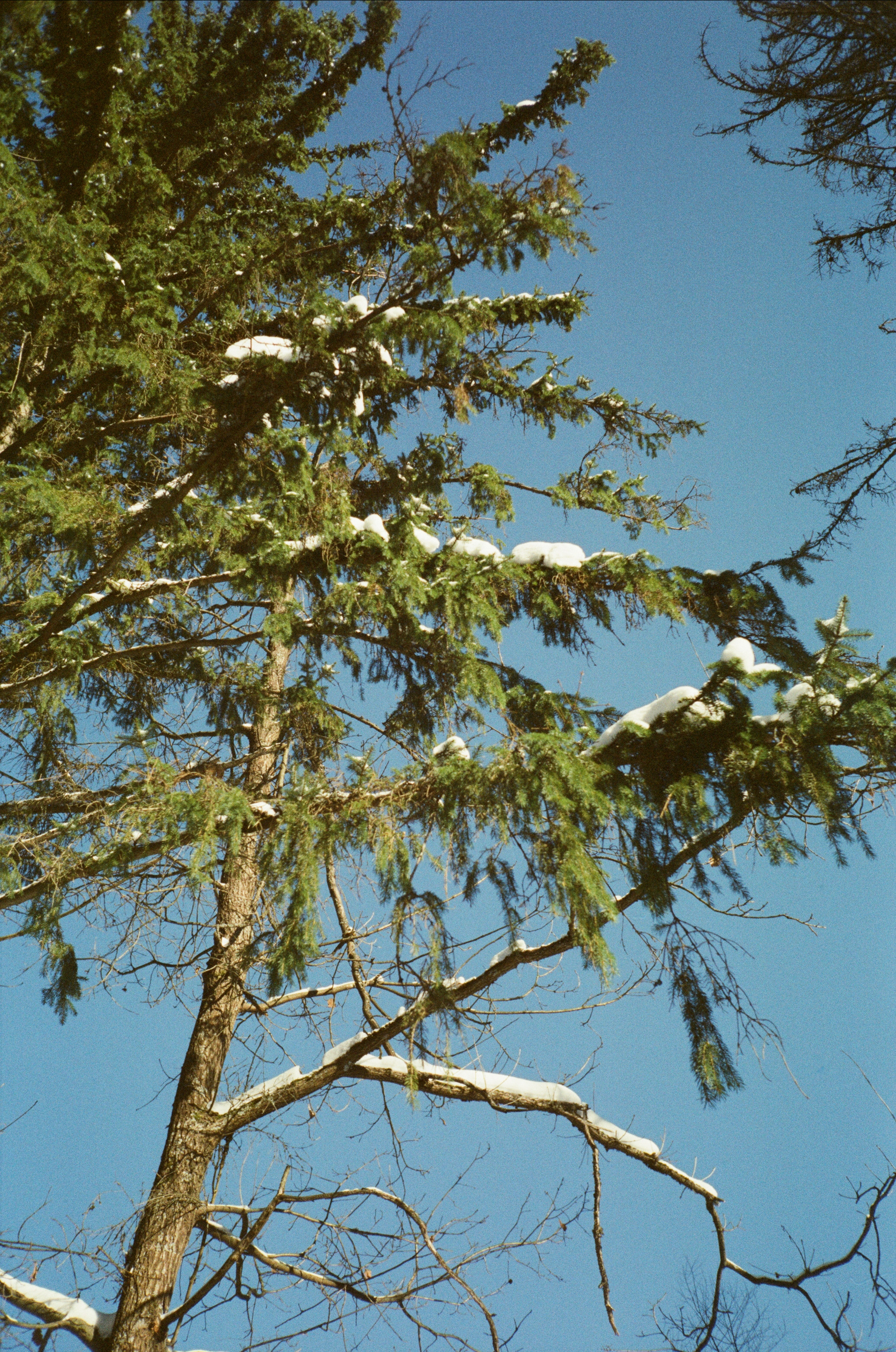 Лесная прогулка в День Рождения. Фотограф-документалист Мария Осокина