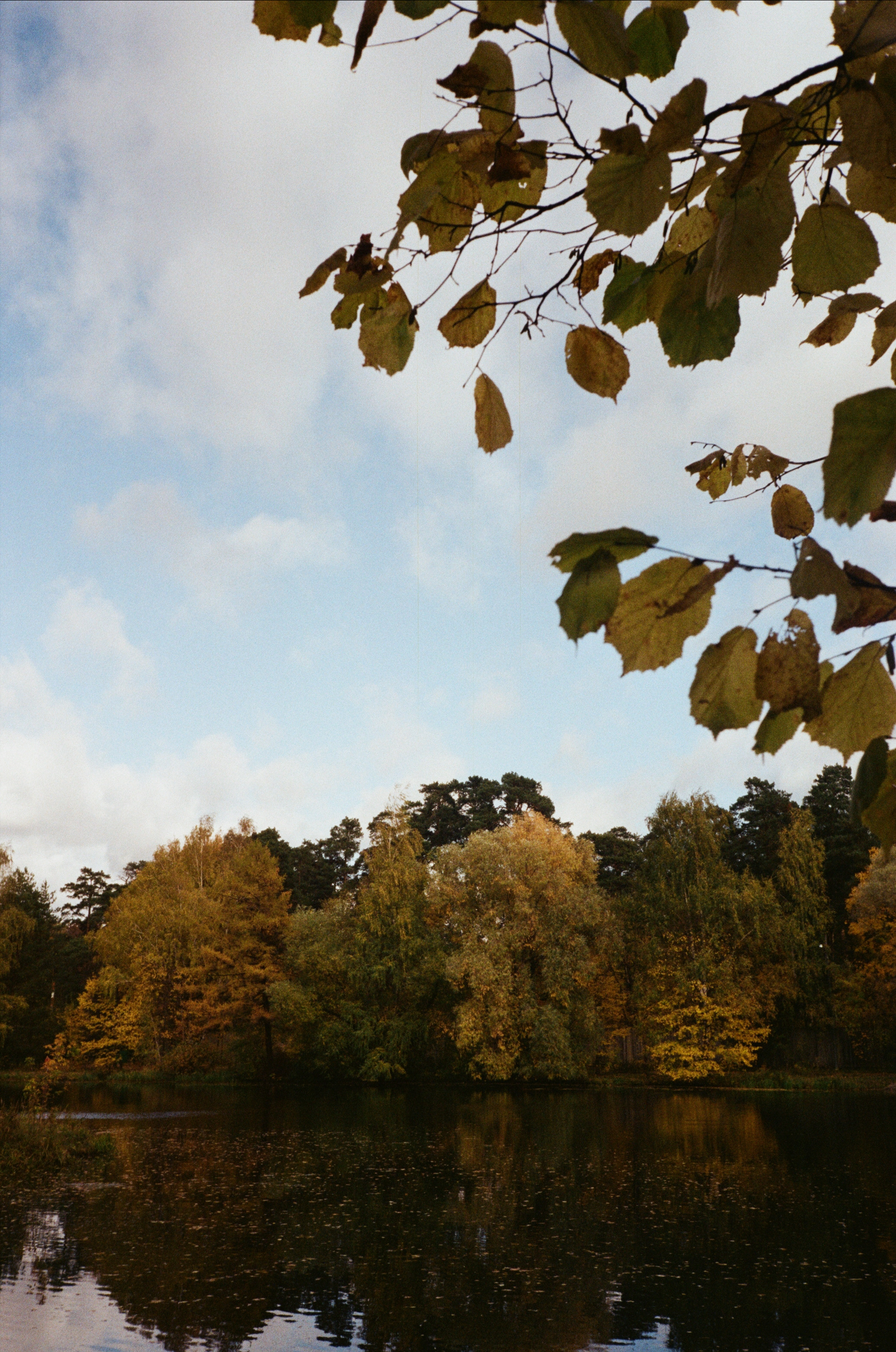 Серебряный Бор. Октябрь. Фотограф-документалист Мария Осокина