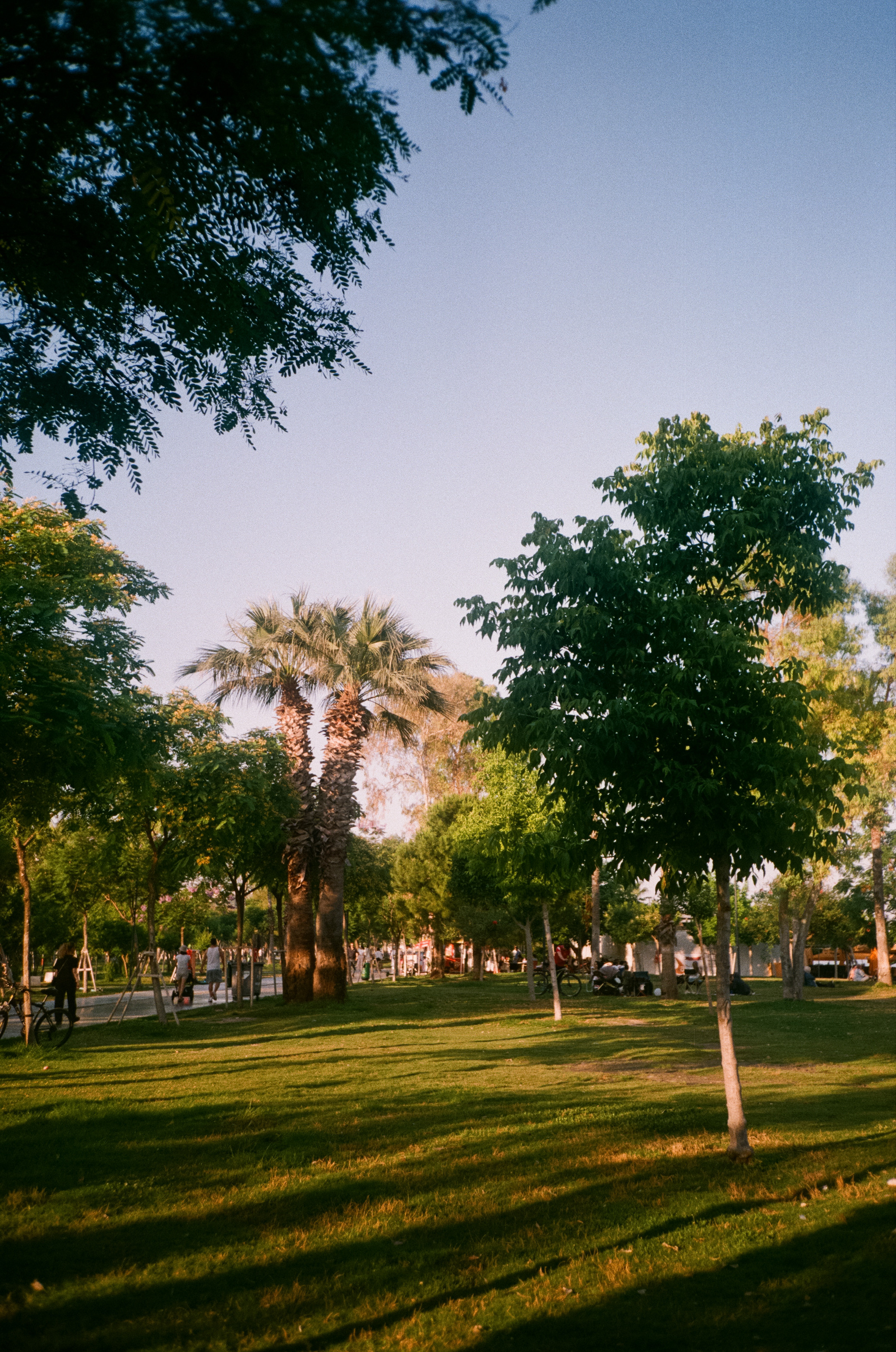 Вечерний вайб, кафе и кофейни, атмосфера, море и местные жители. Фотограф-документалист Мария Осокина