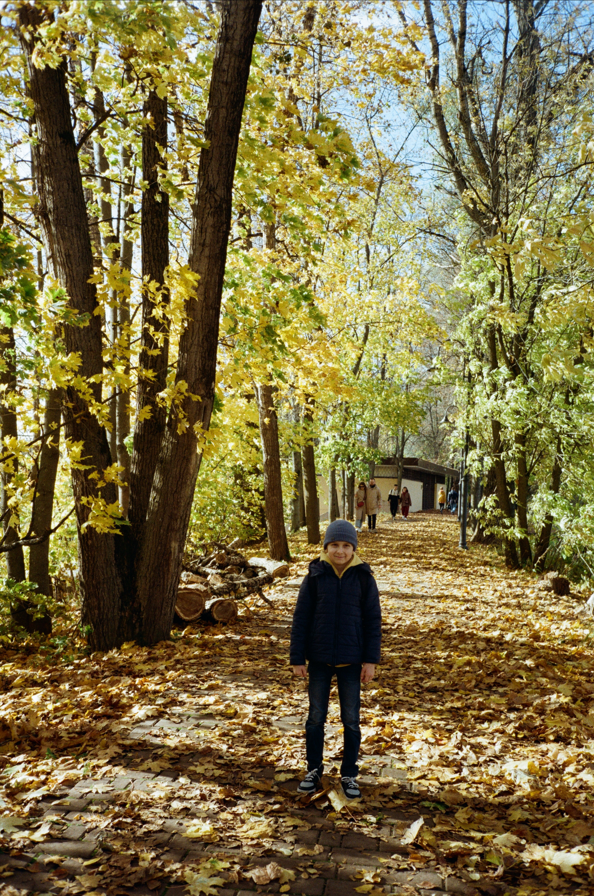 Архангельское. Золотая осень. Фотограф-документалист Мария Осокина