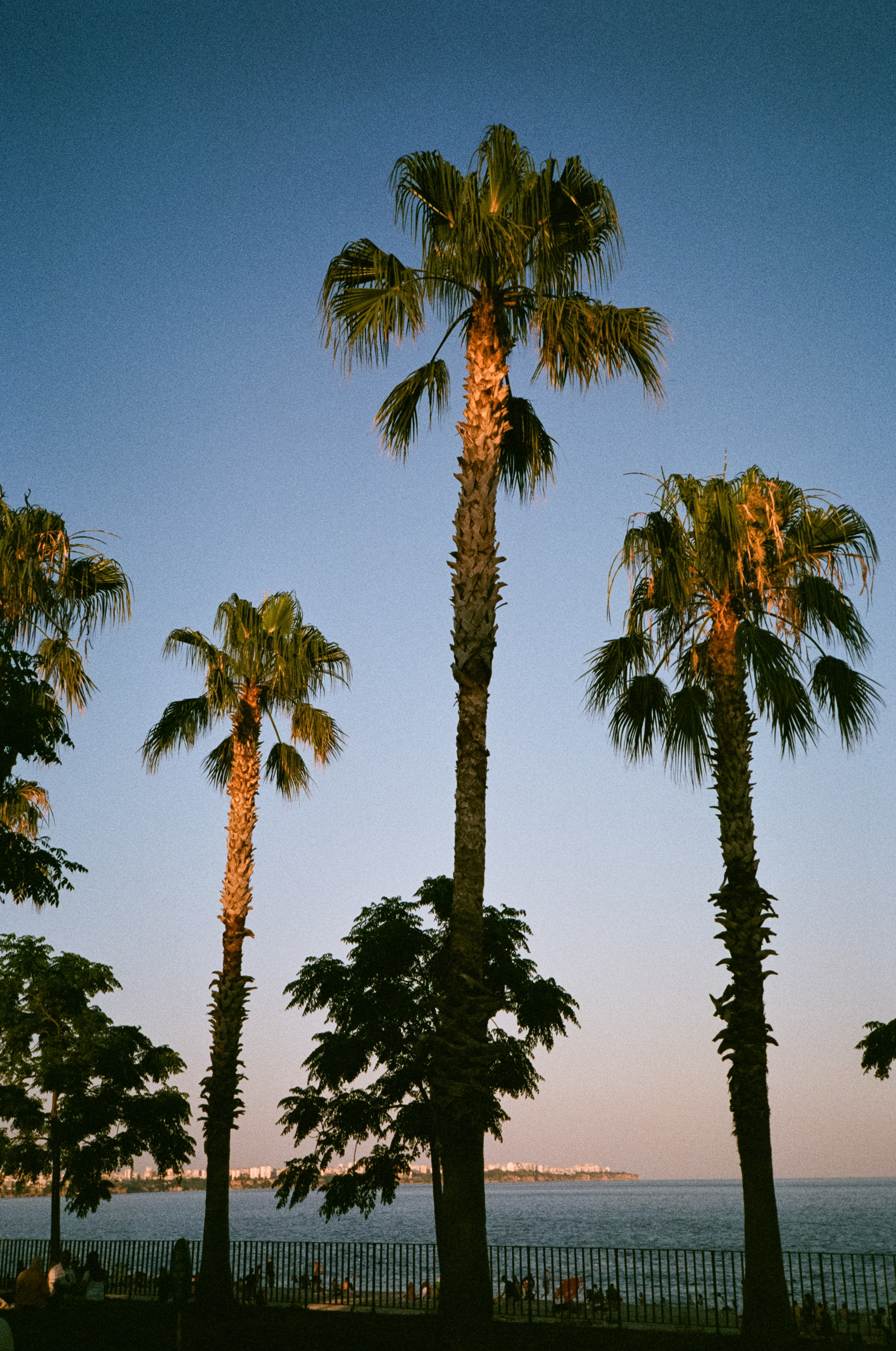 Вечерний город, улочка баров, пальмы и рассвет нового дня. Фотограф-документалист Мария Осокина